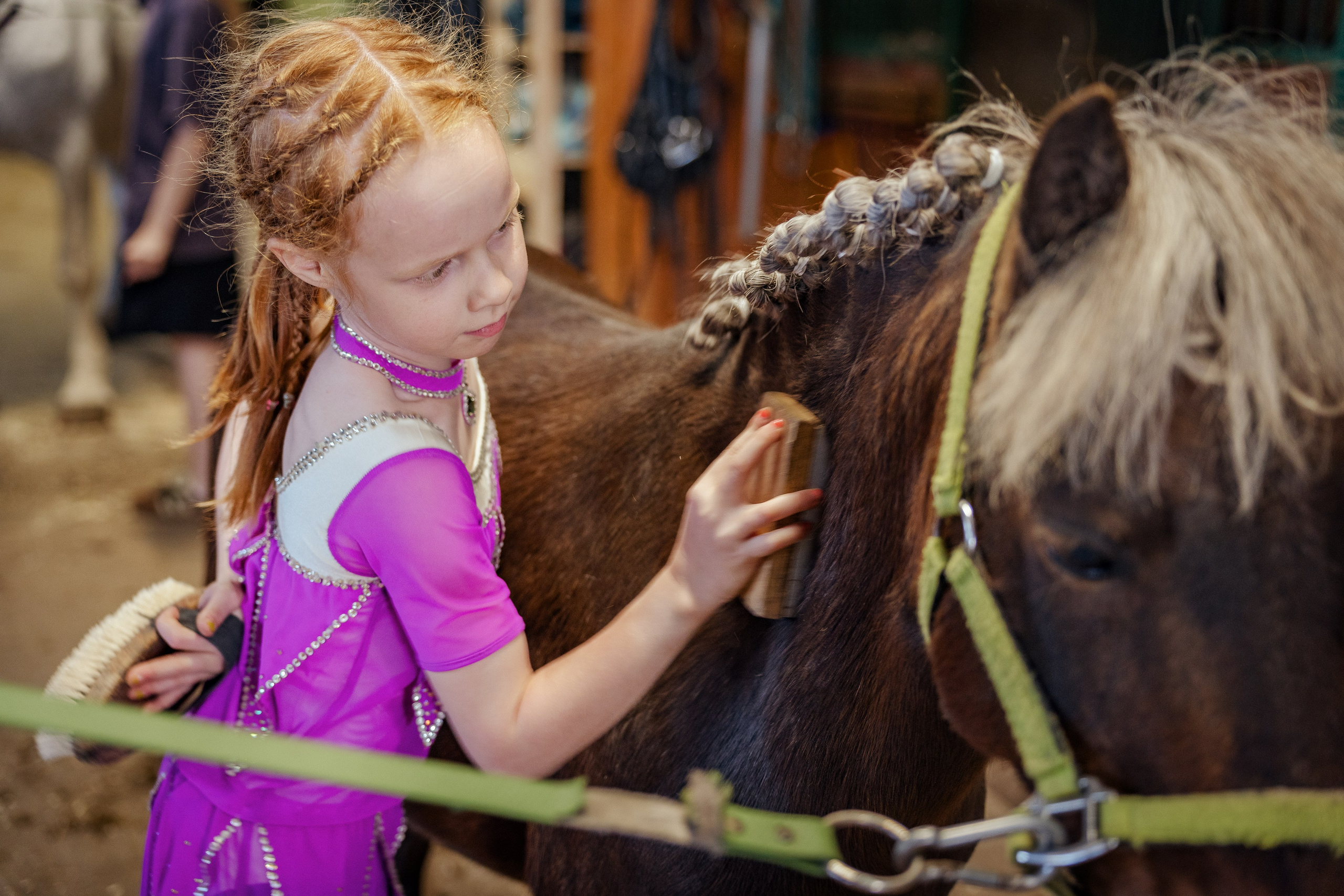 Конный клуб Горки. Портретный и семейный фотограф в Москве/Видное