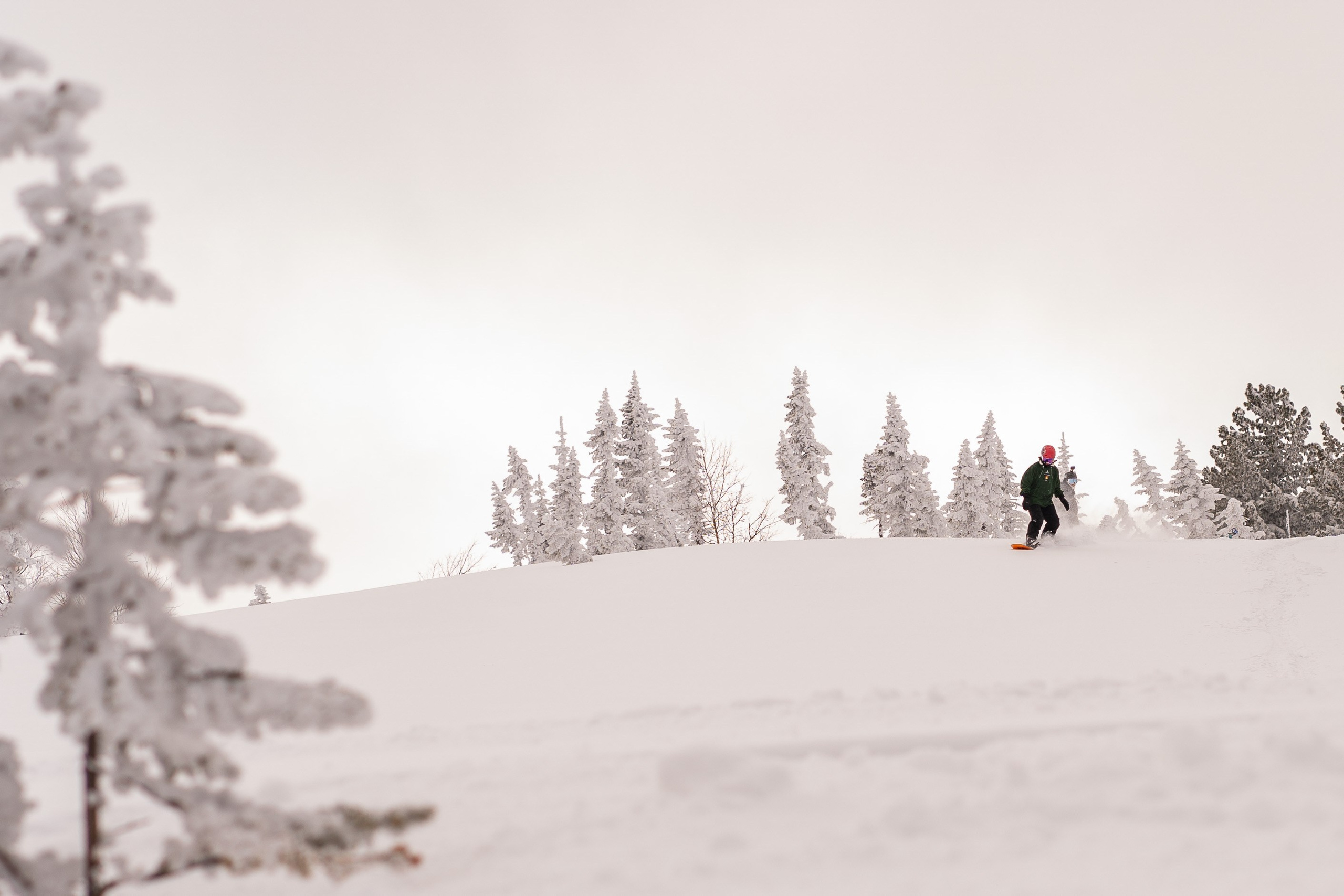 Фрирайд. Анастасия Паршукова — фотограф Шерегеш Новосибирск