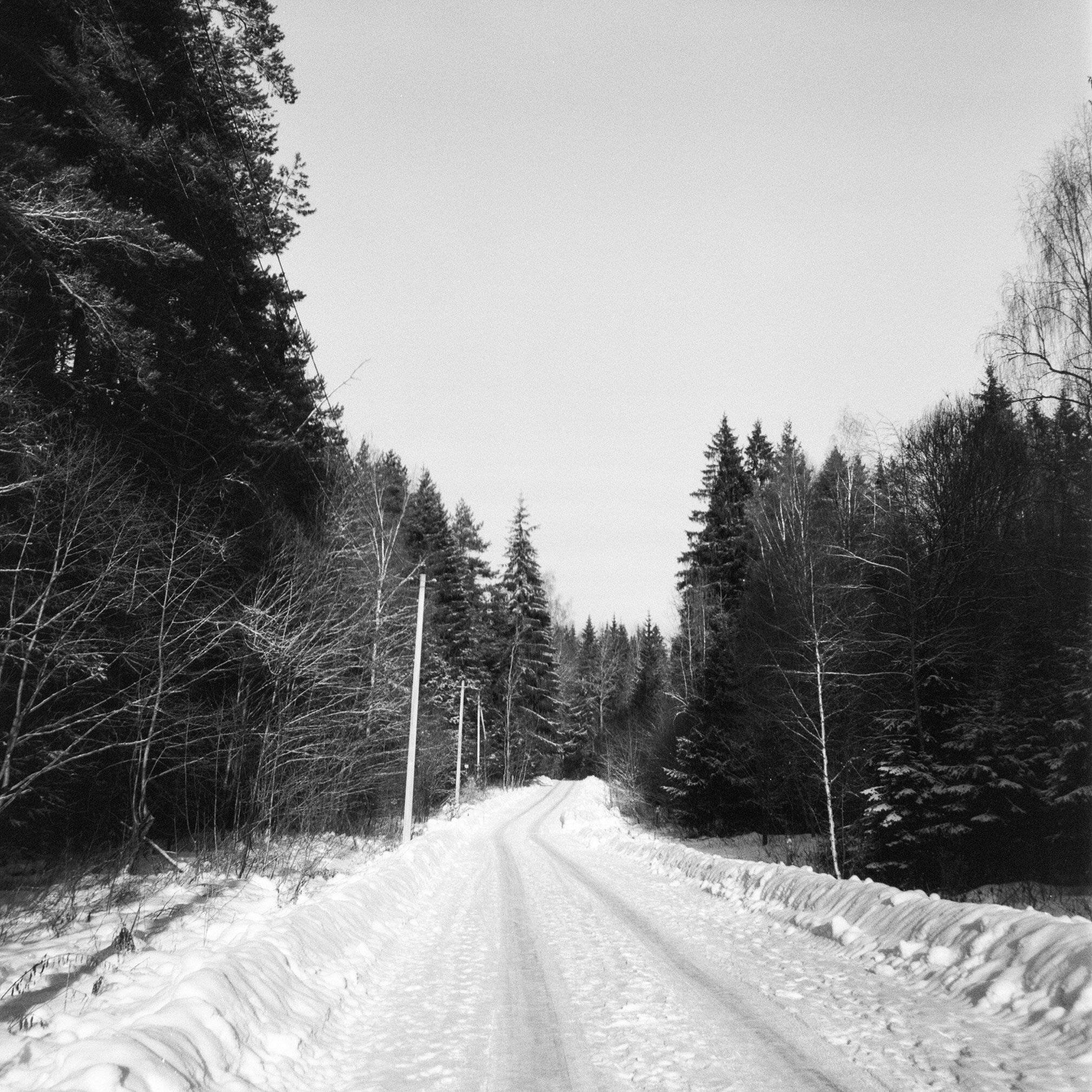 Minox 35GT / Тасма Т-25 ISO 100 / Давыдовское, Лукино