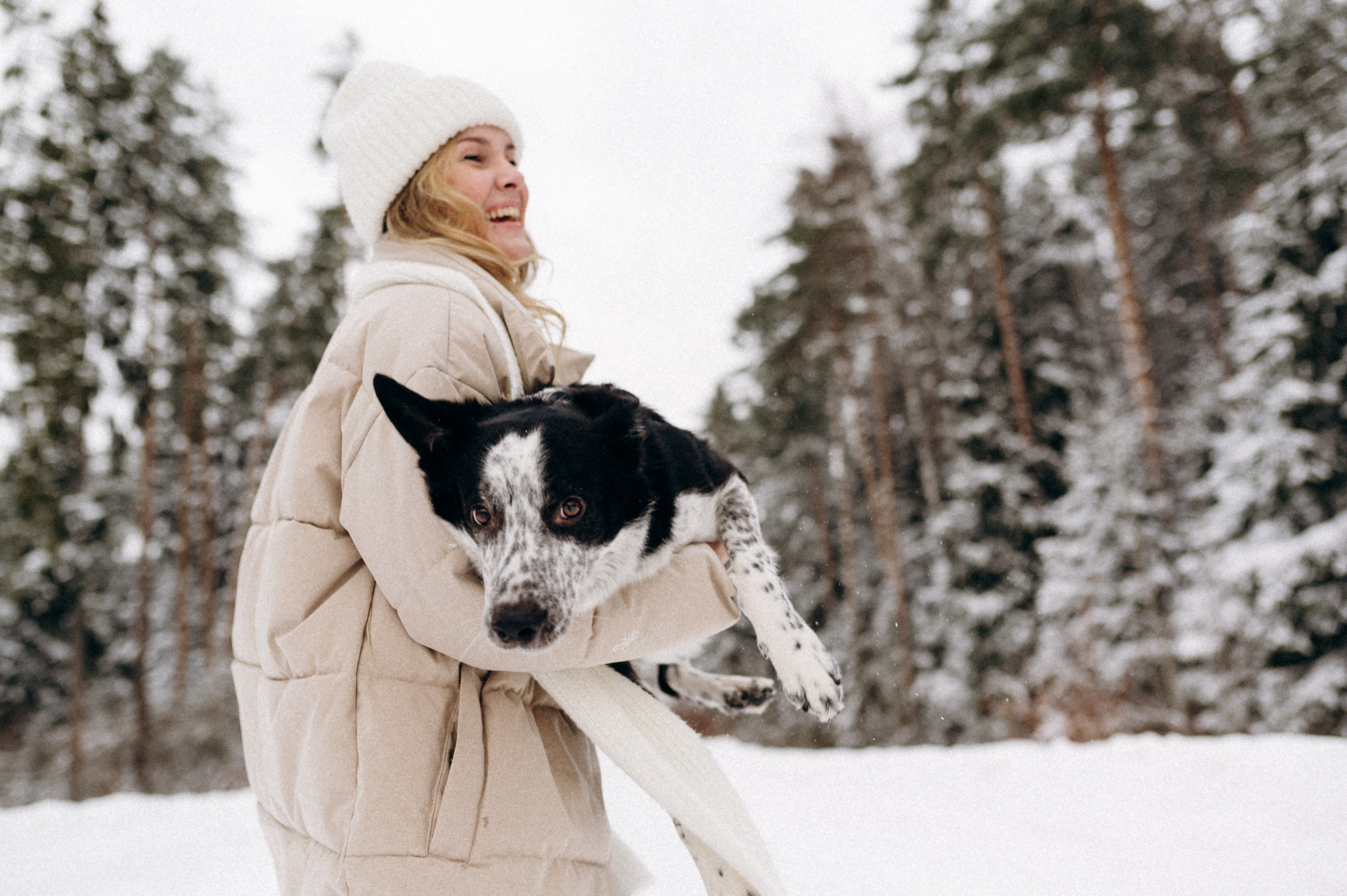 Аня и Милан. Фотограф анималист в Москве Ольга Агушева