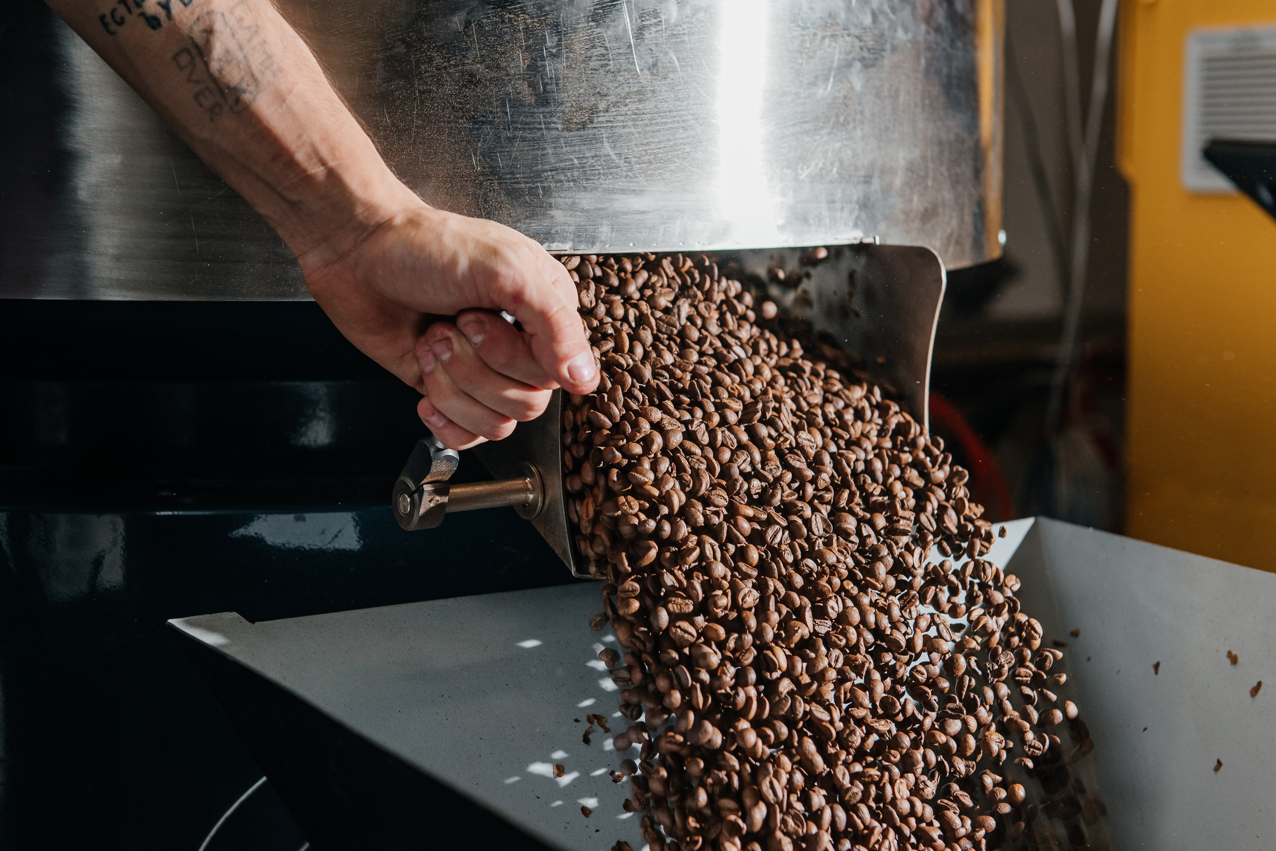 Ботаника кофе рекламная фотосессия. Профессиональный фотограф Артем Рахимов в Казани