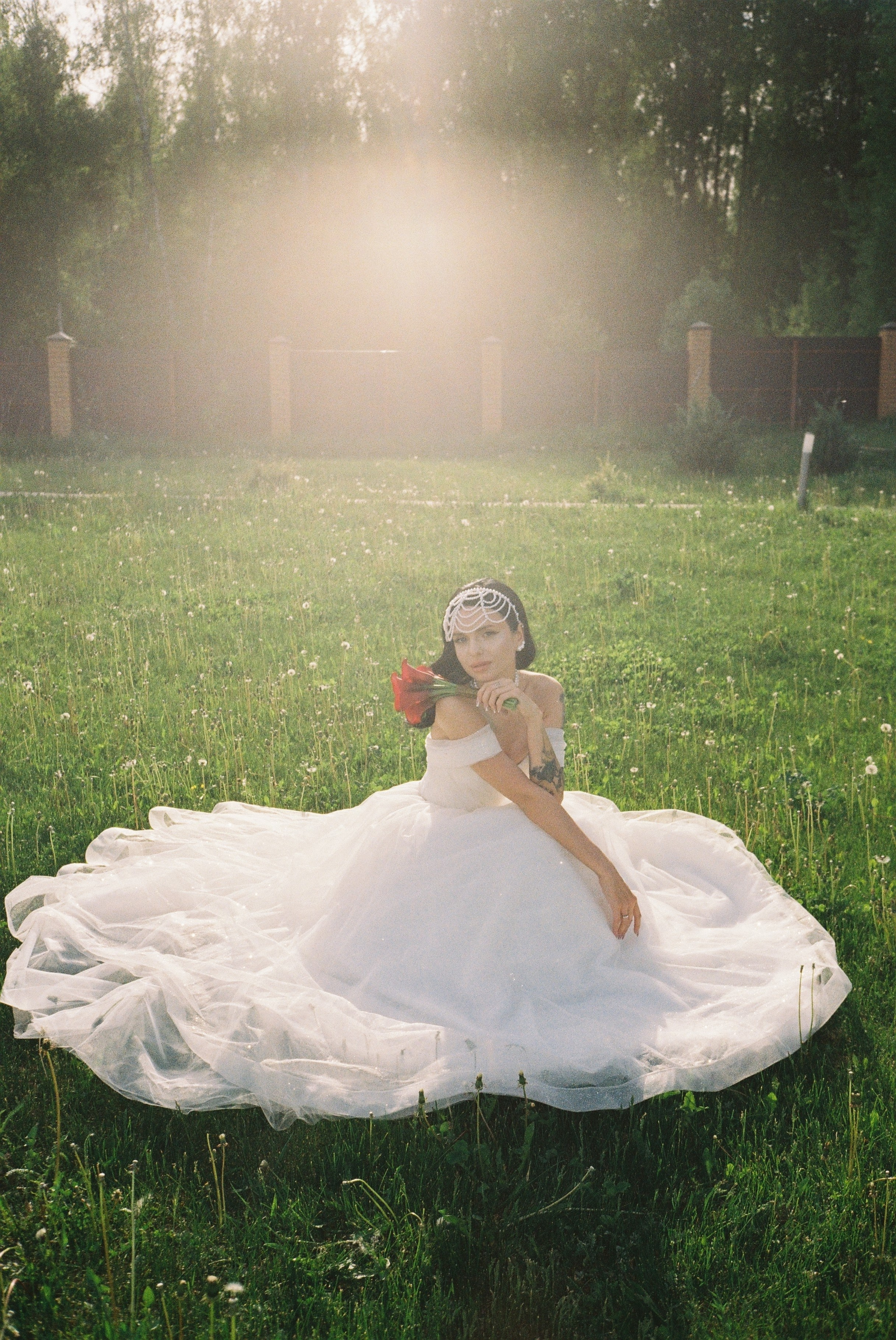 Dog Friendly. Свадебный и репортажный фотограф