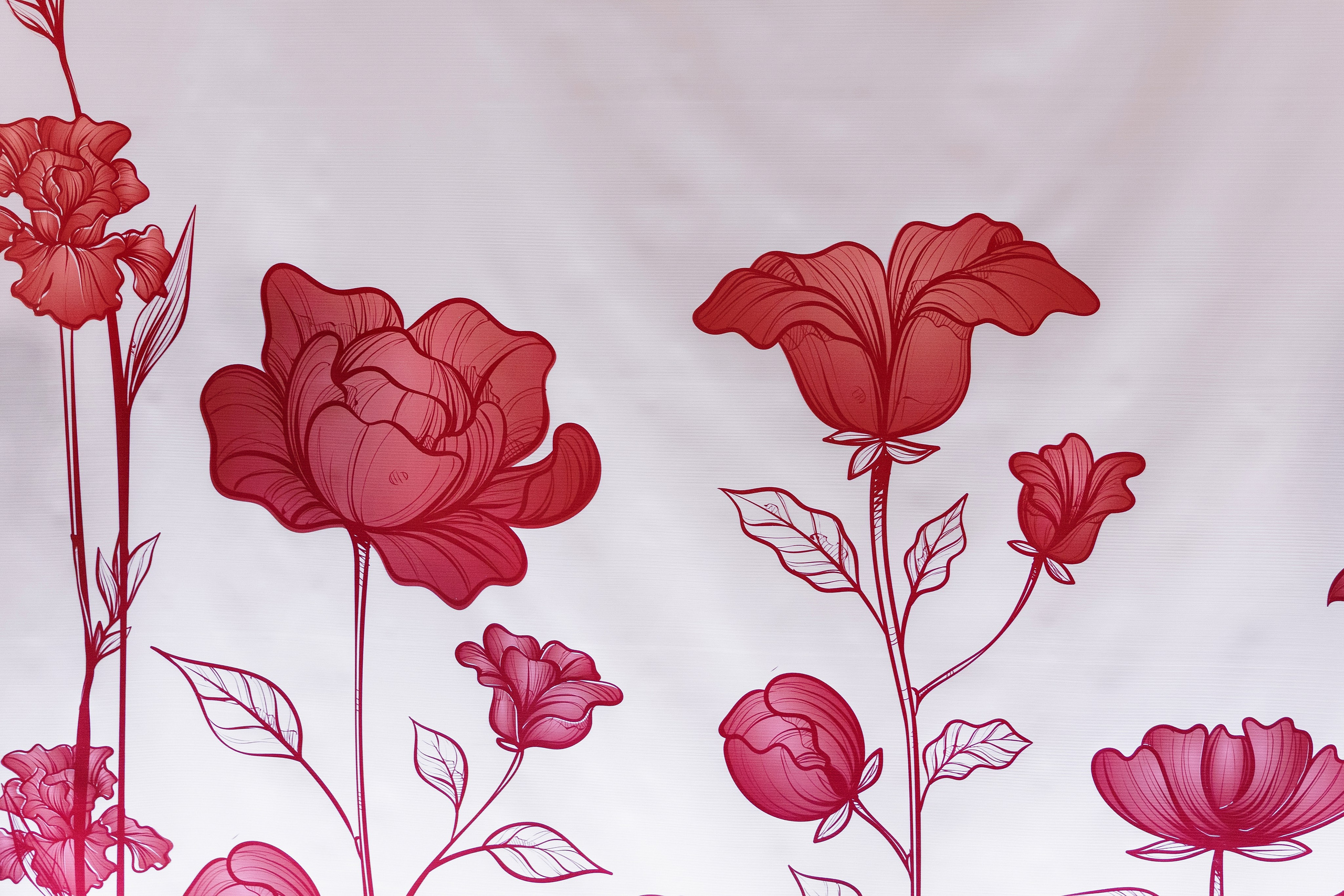 Кирилл и Ольга