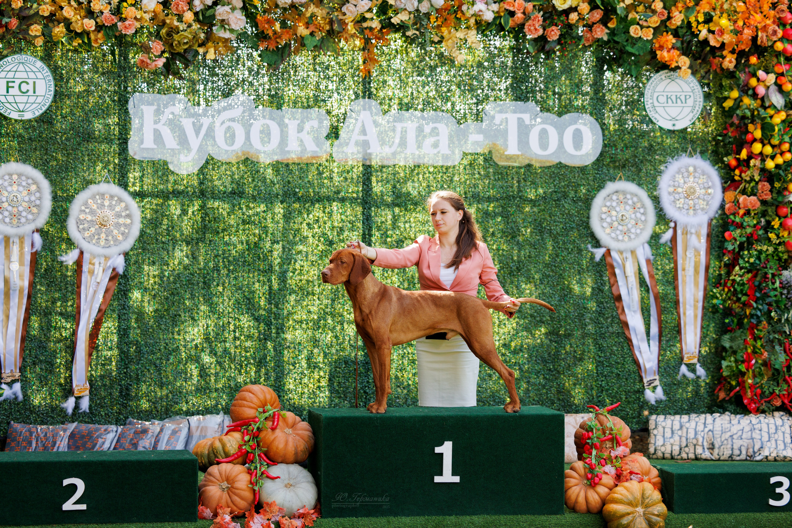 Бишкек 3х CACIB 26-28.09.2025. Фотограф-анималист Юлия Германика