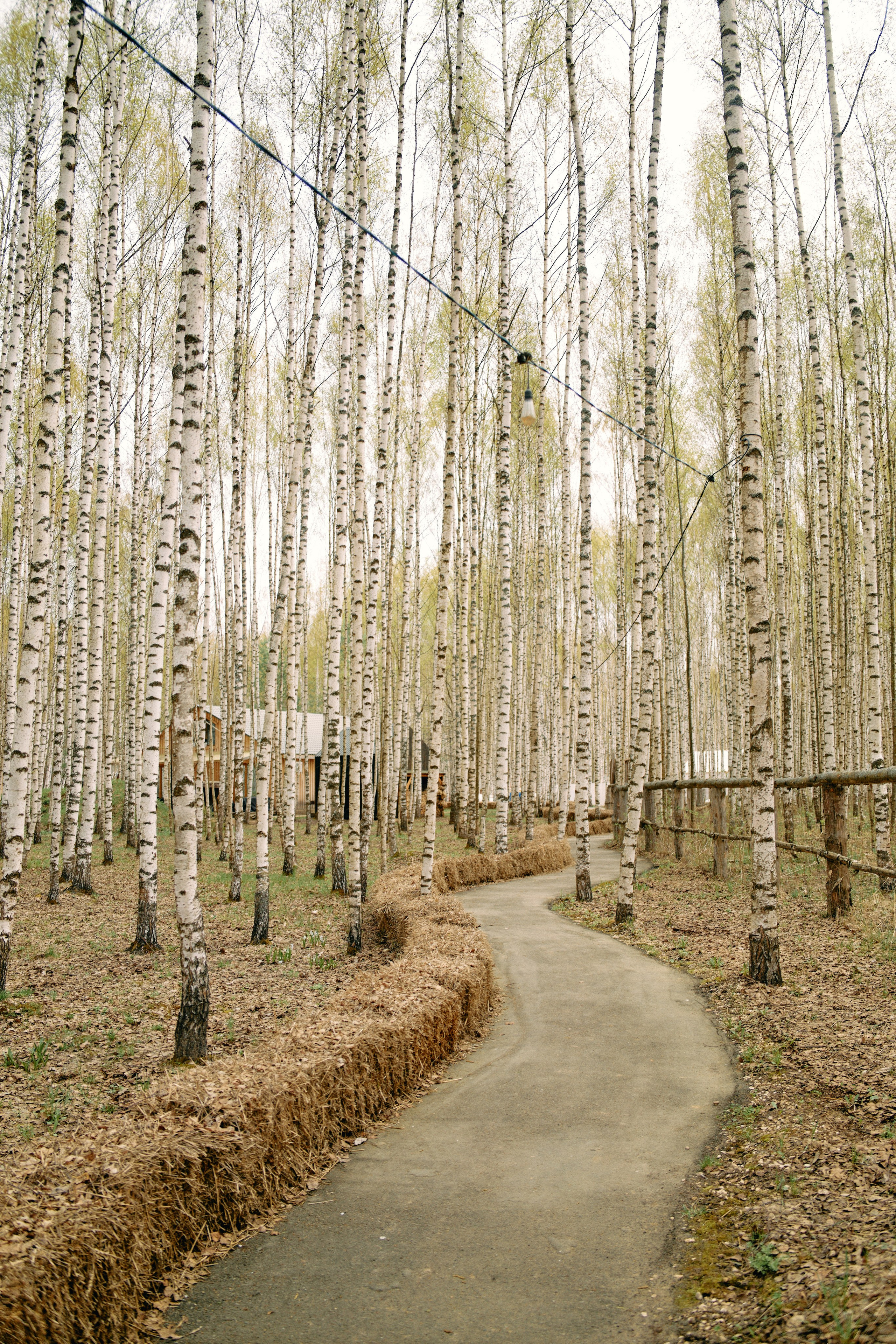 Бутик-отель Поле летом. Профессиональный Фотограф во Владимире, в Москве и в Суздале — Полина Романычева