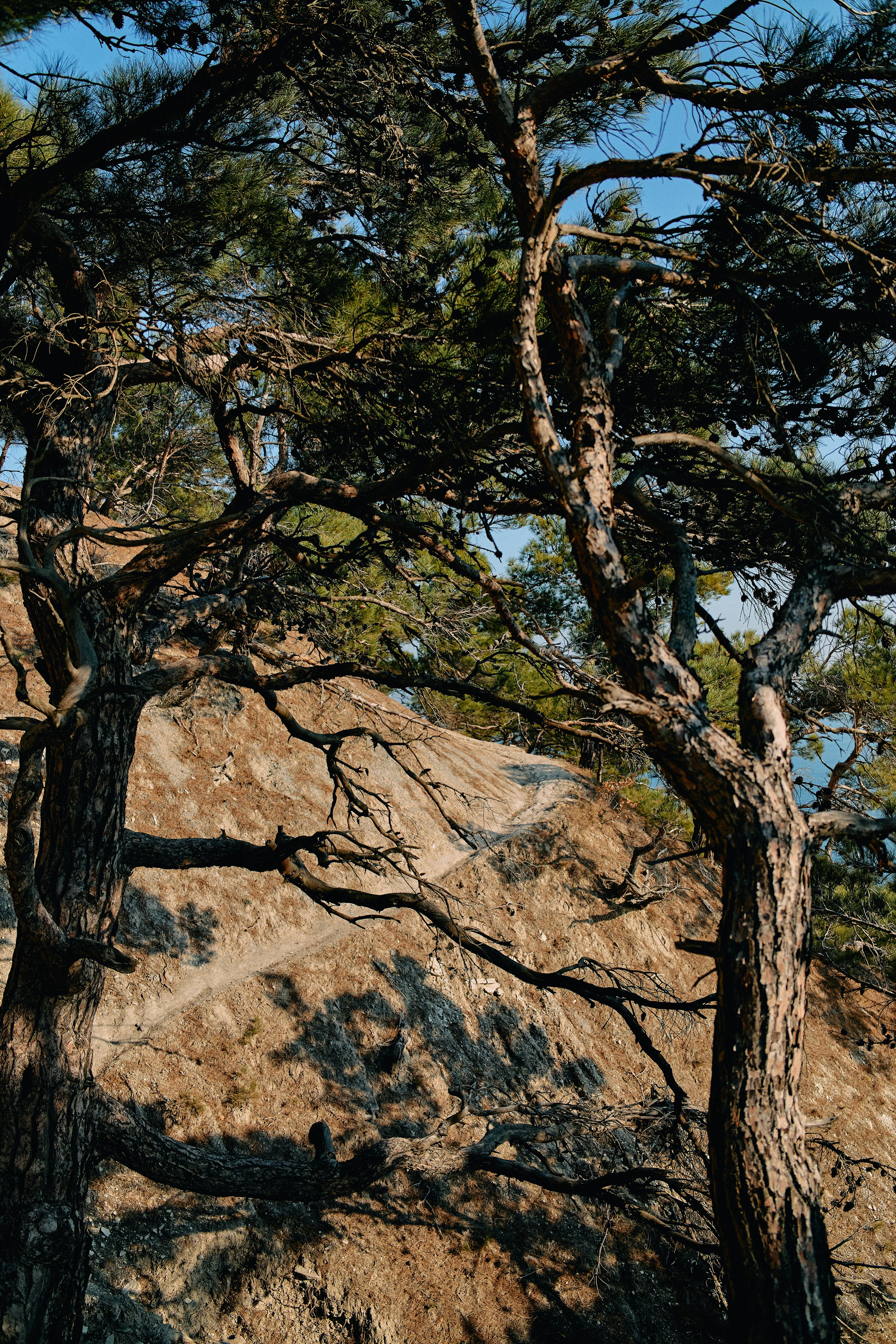 Юг России. Профессиональный Фотограф во Владимире, в Москве и в Суздале — Полина Романычева