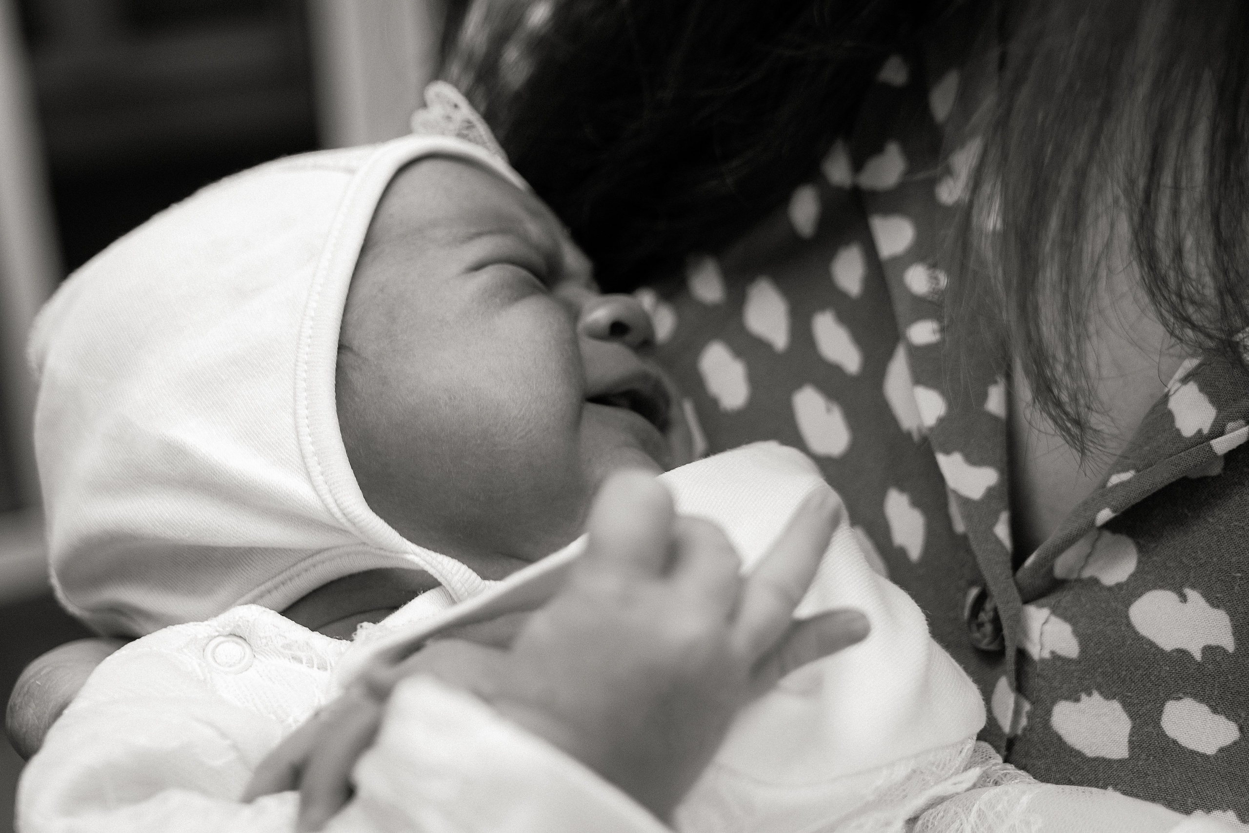 Выписка. Https://malovafoto.ru