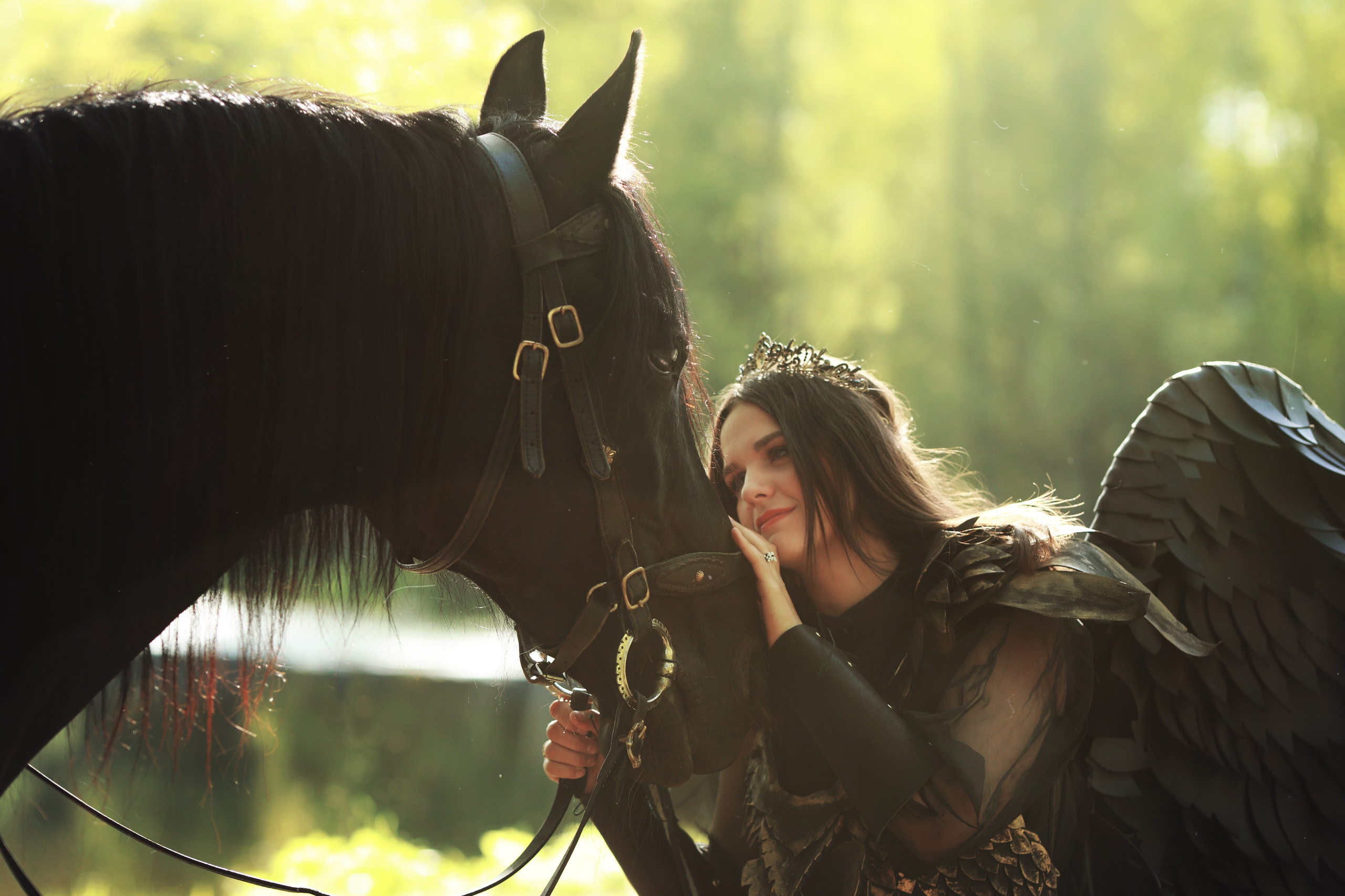 Фотосессии с лошадью. Фотосессия с лошадьми