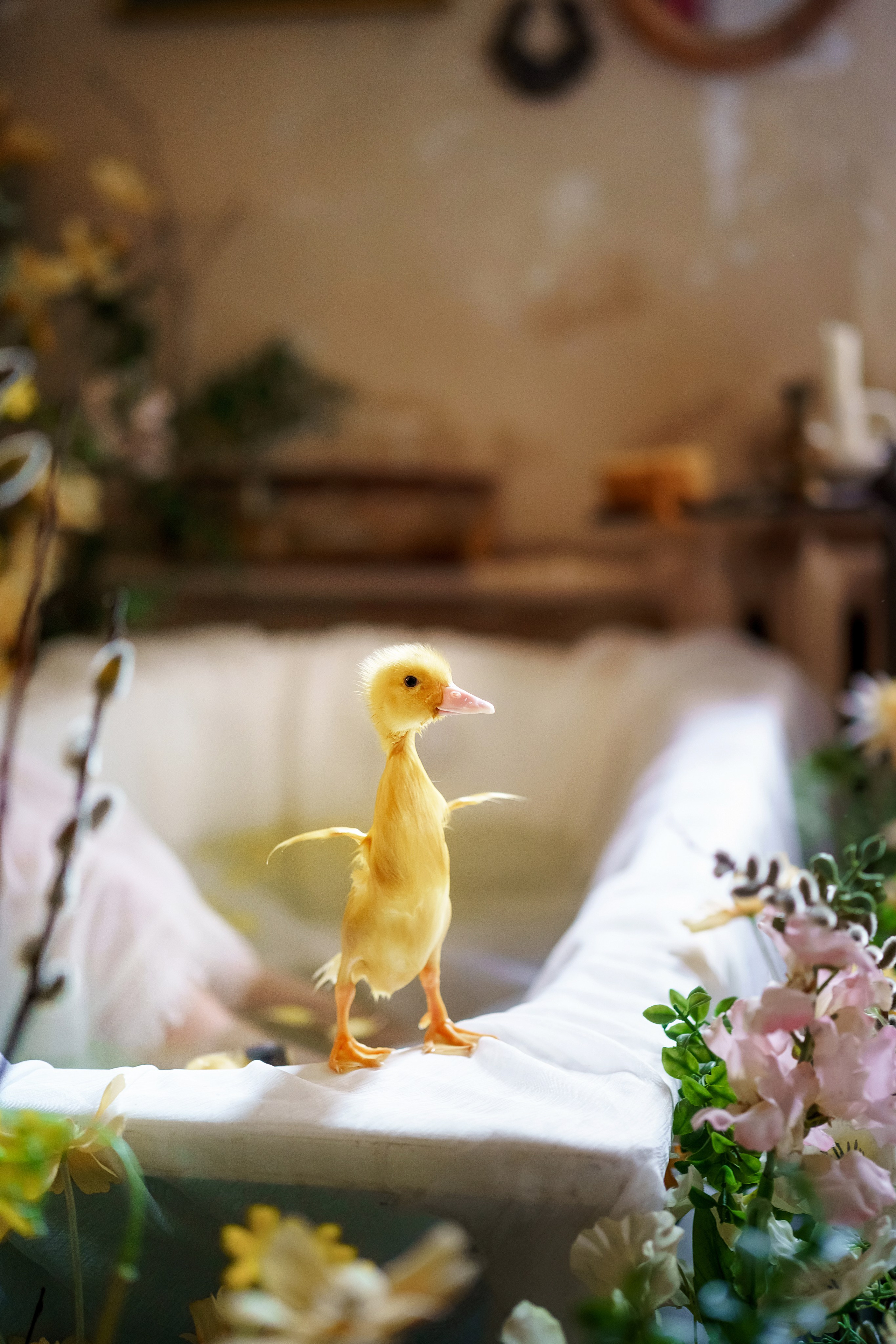 . Фотограф в Москве и Одинцово