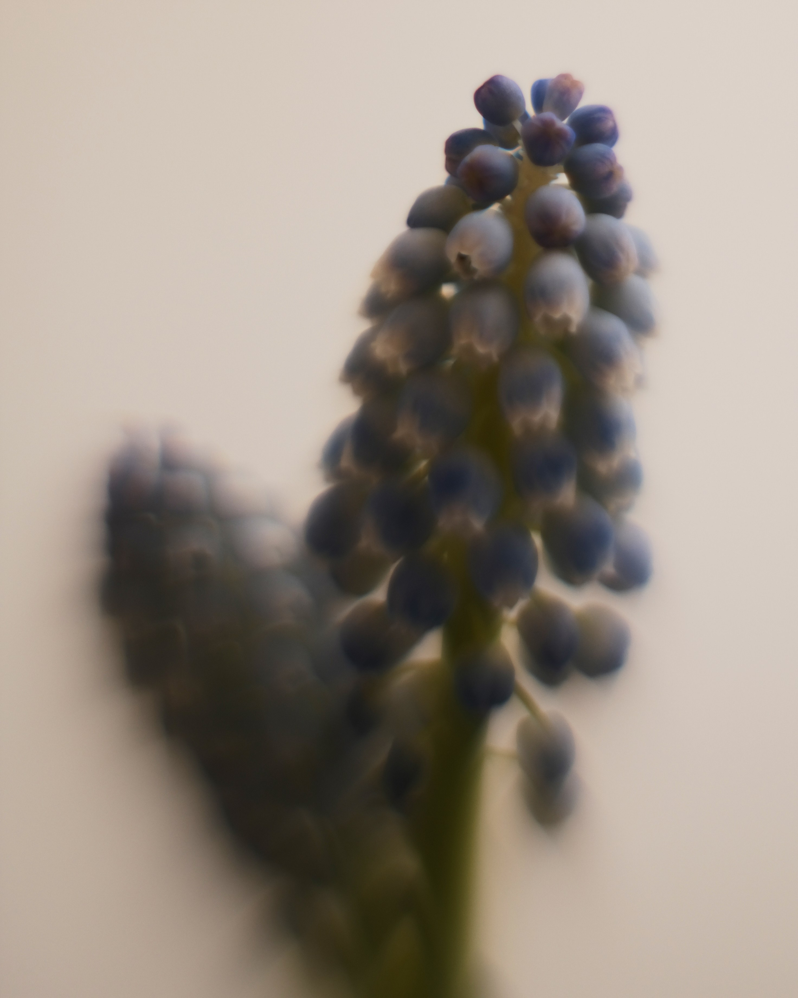 Творчество. Портретный и репортажный фотограф в Санкт-Петербурге Дарья Сибирякова