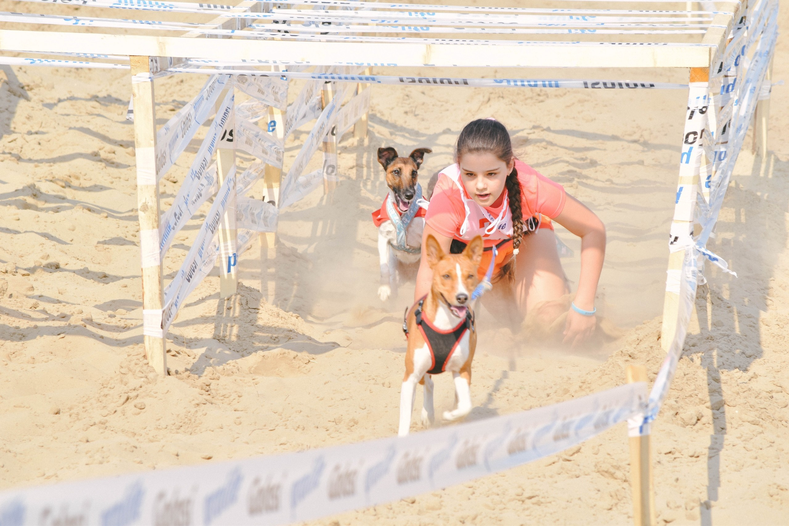 Хвостатый драйв 2019. Семейный фотограф в Москве и Севастополе Анастасия Котова