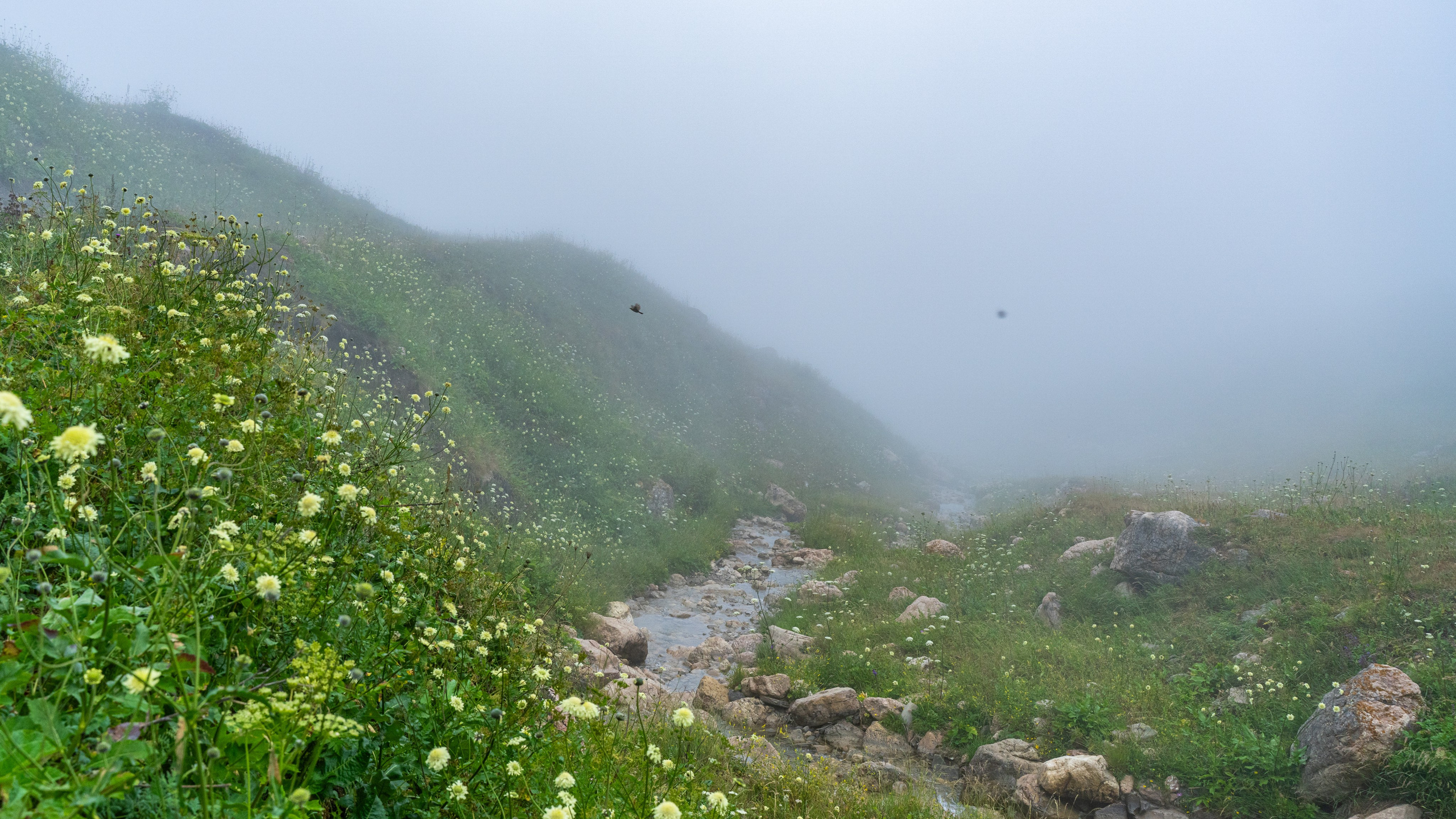 Дагестан. Фотограф в Москве. Шахабудин