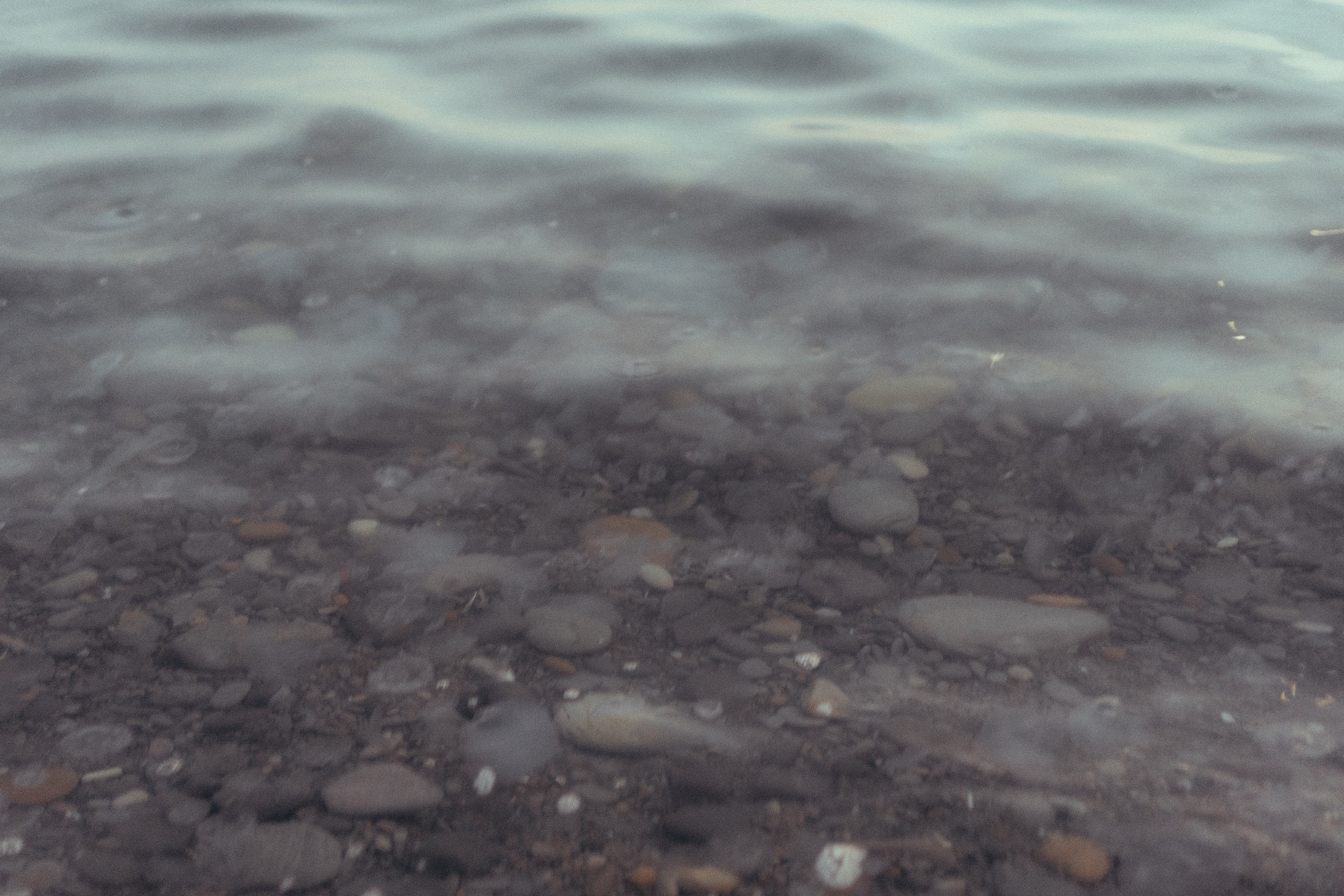 Вечерняя прогулка по Анапе. Профессиональный фотограф, Санкт-Петербург — Виктория Богомолова