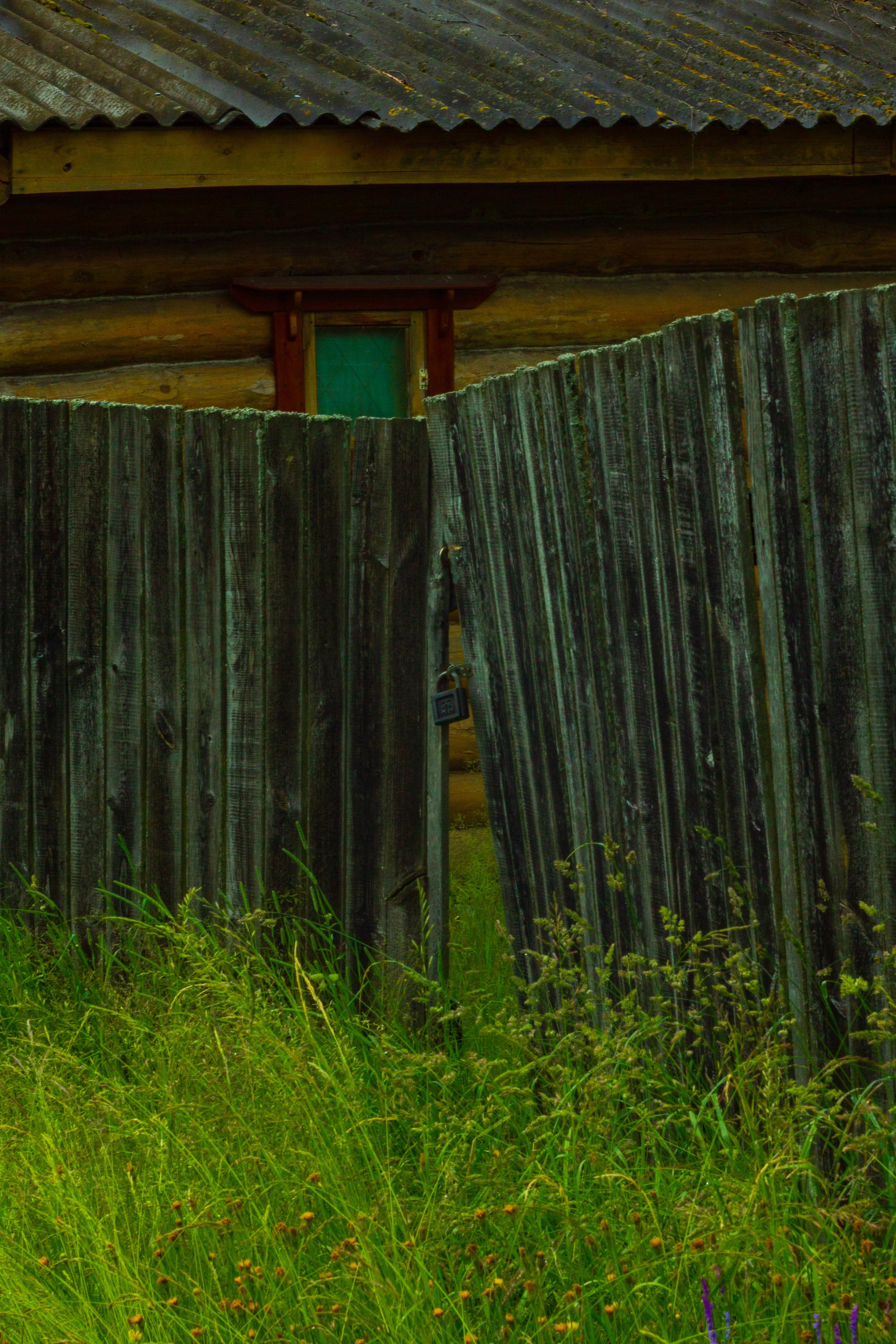 Dacha vibes. Папка кадров 📁