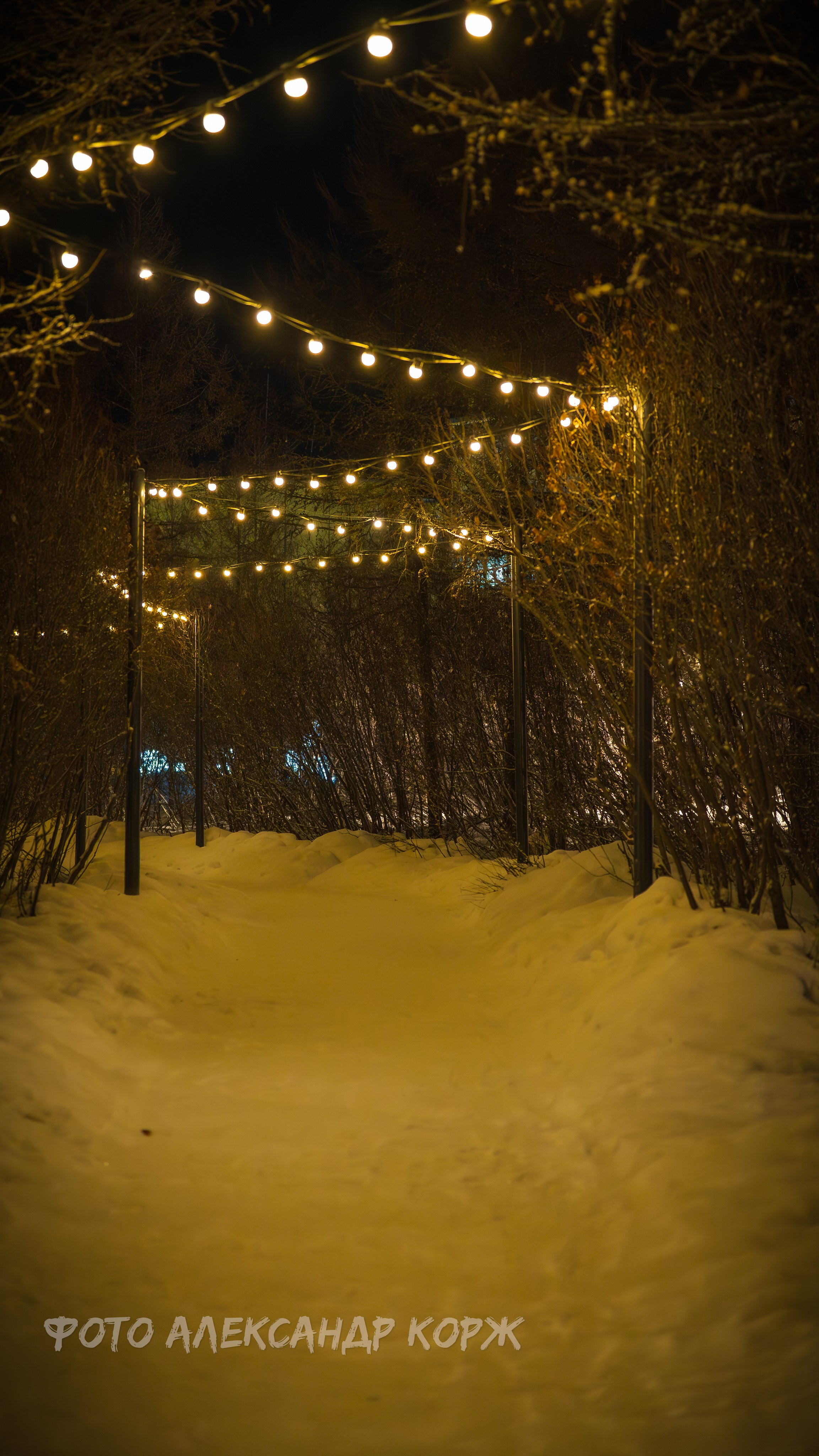 Природа крайнего Севера. Айхал. Фотографии и видеосъемка, Айхал, Удачный, Якутия. Фотографии Айхал