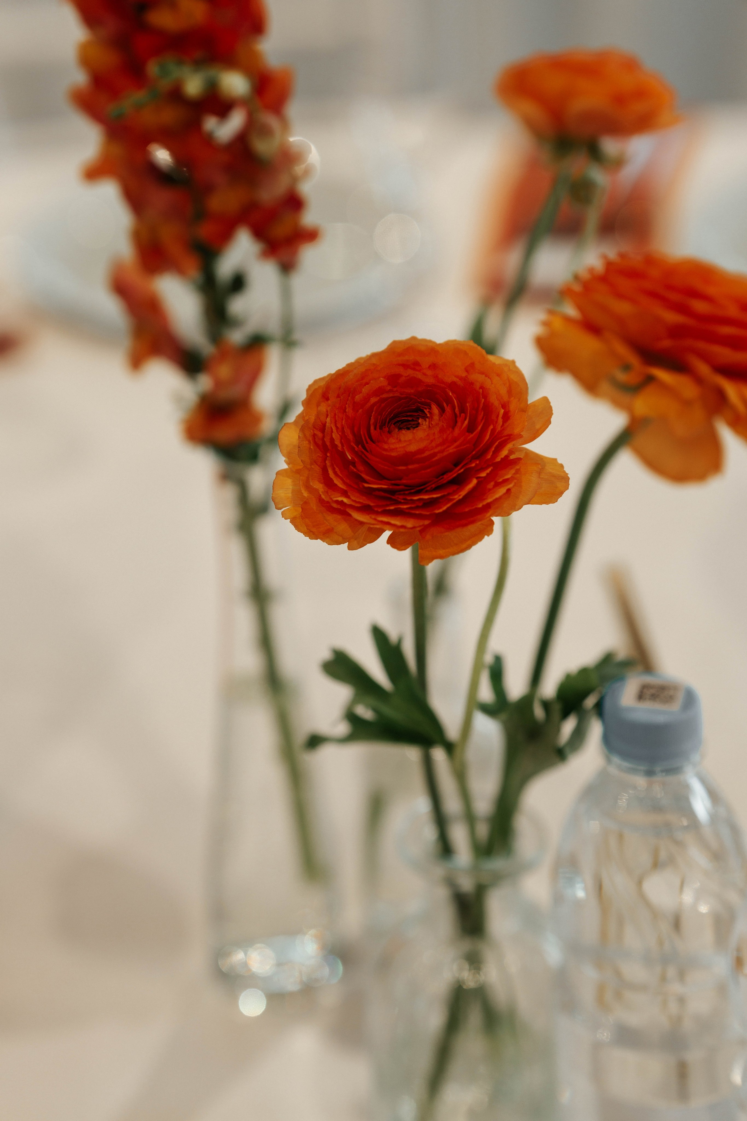 Artem & Elena. Свадебный фотограф в Воронеже Самохина Екатерина