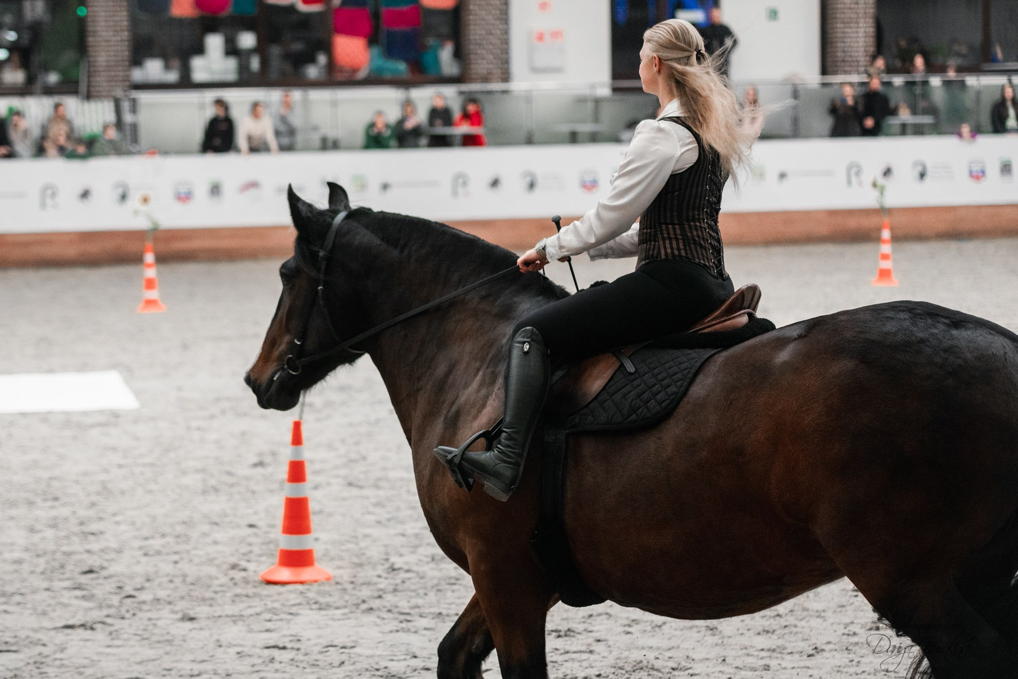 8-я международная выставка Конная Россия. Конный фотограф Куракина Дарья • Фотосессии с лошадьми