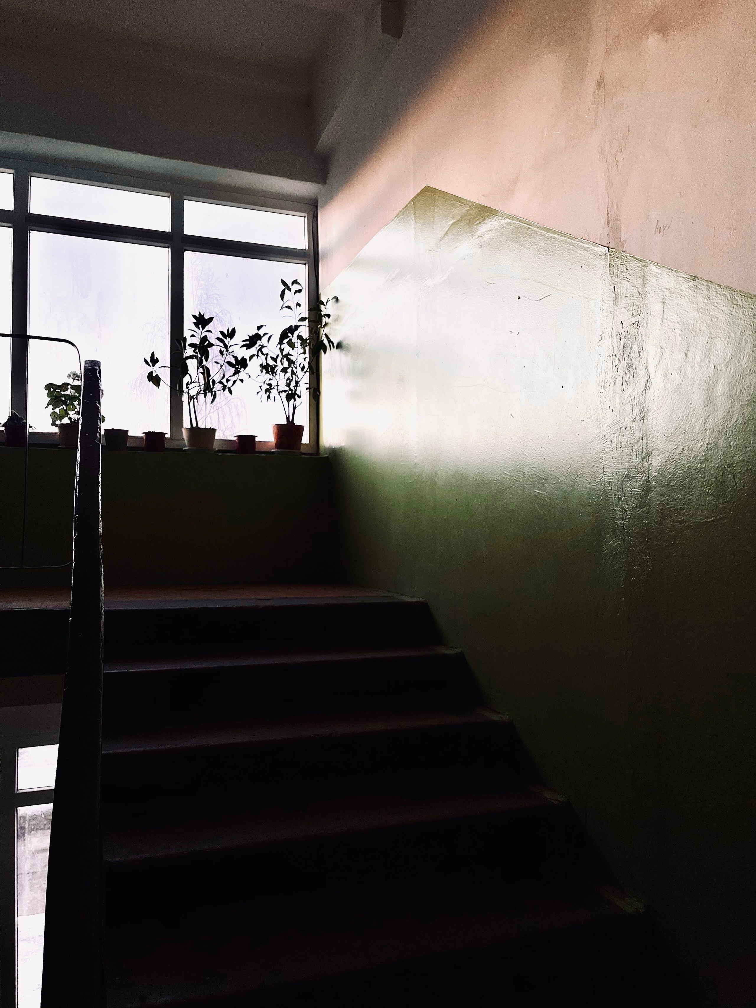 Маленькая история, 2024. Портретный фотограф в Москве Евгения Яковенко