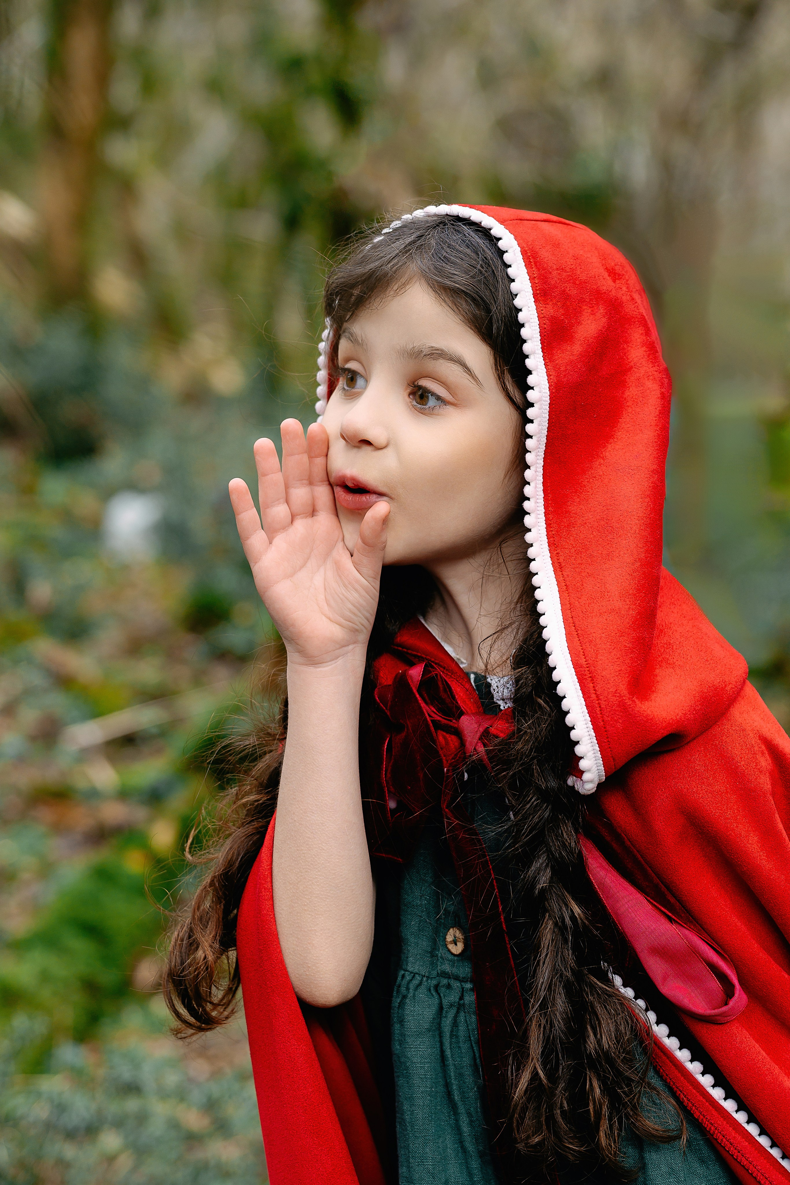 Красная шапочка