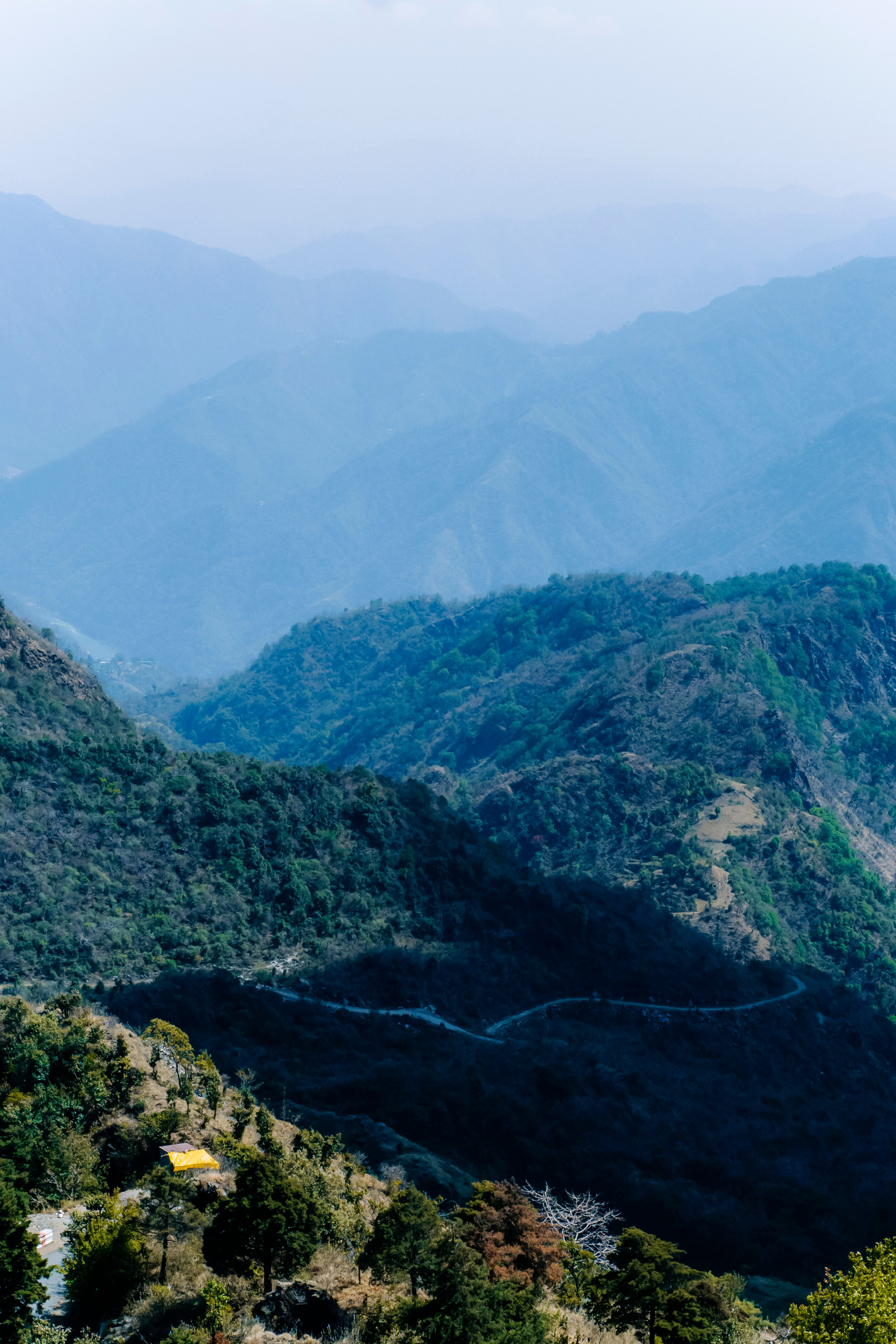 Ришикеш стрит. Iraogo