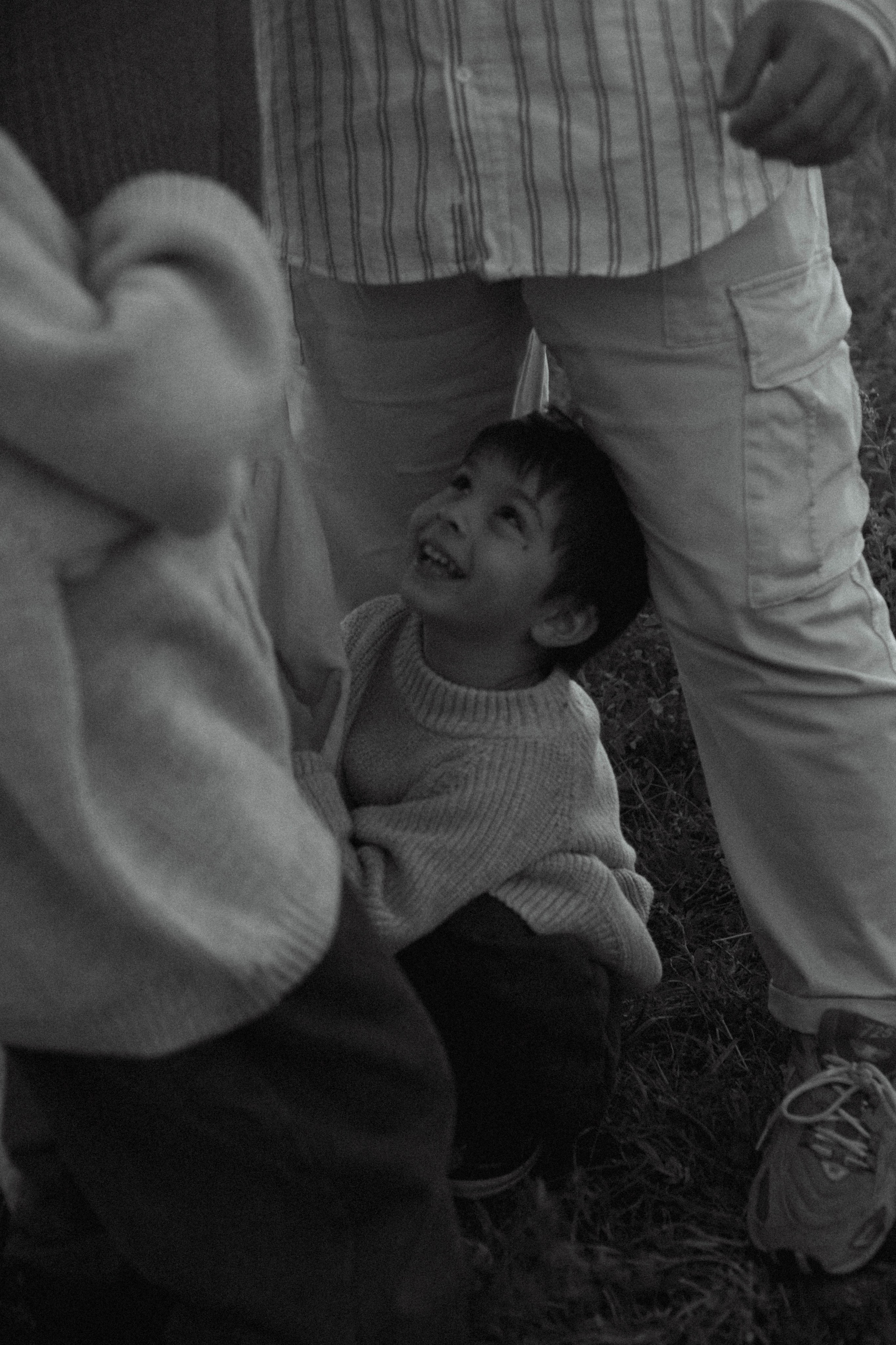 Оля, Саша, Демид, Елисей. Семейный фотограф Юлия Котова