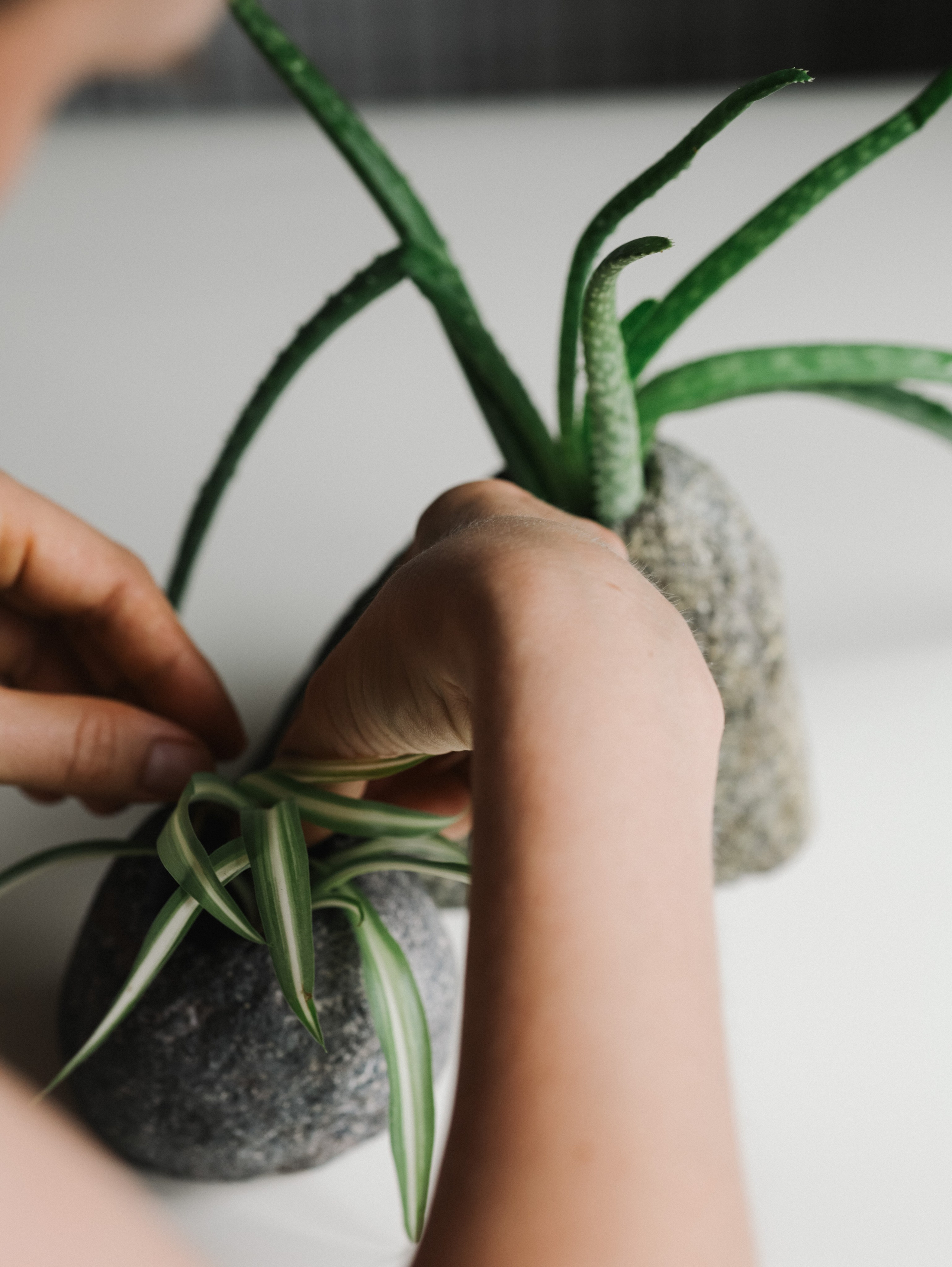 Подсвечники и салфетницы. Алёна Стерхова — Предметный и портретный фотограф. Ижевск