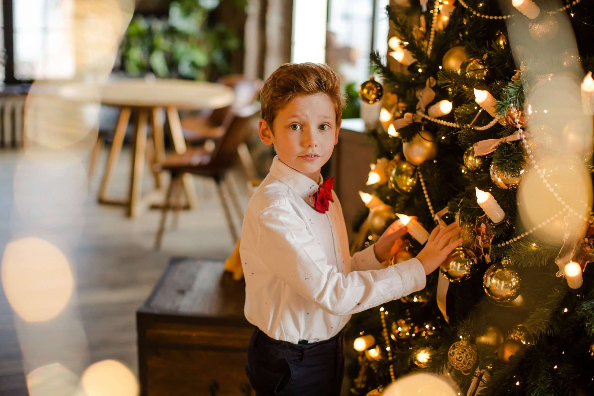 Вика с семьей. Семейный и детский фотограф в Москве Кузьмина Мария