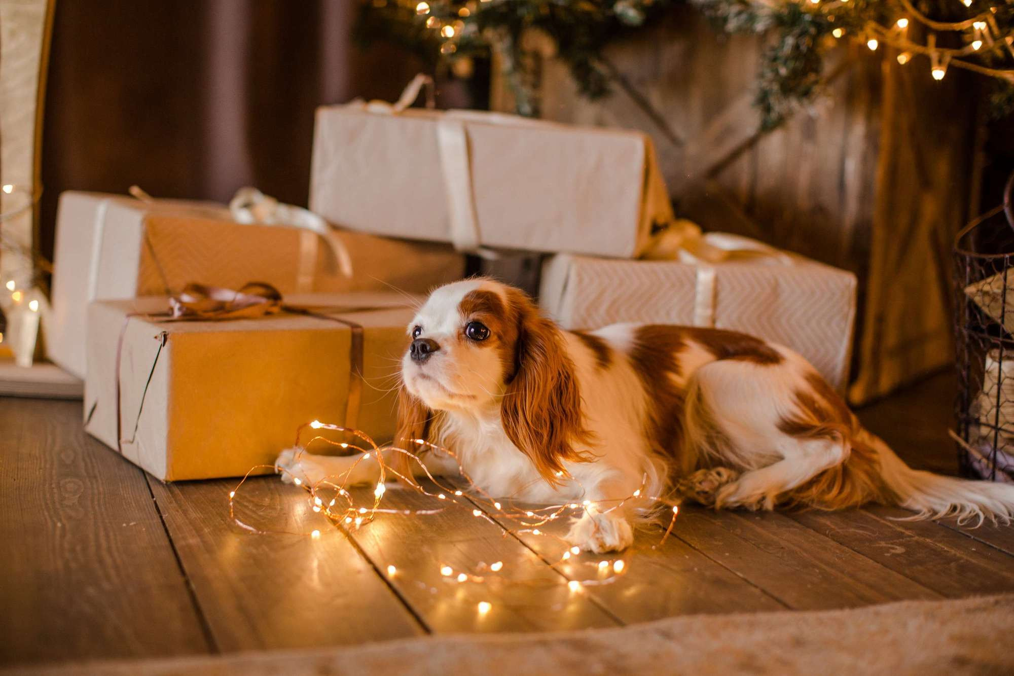 Алена с сыном. Семейный и детский фотограф в Москве Кузьмина Мария