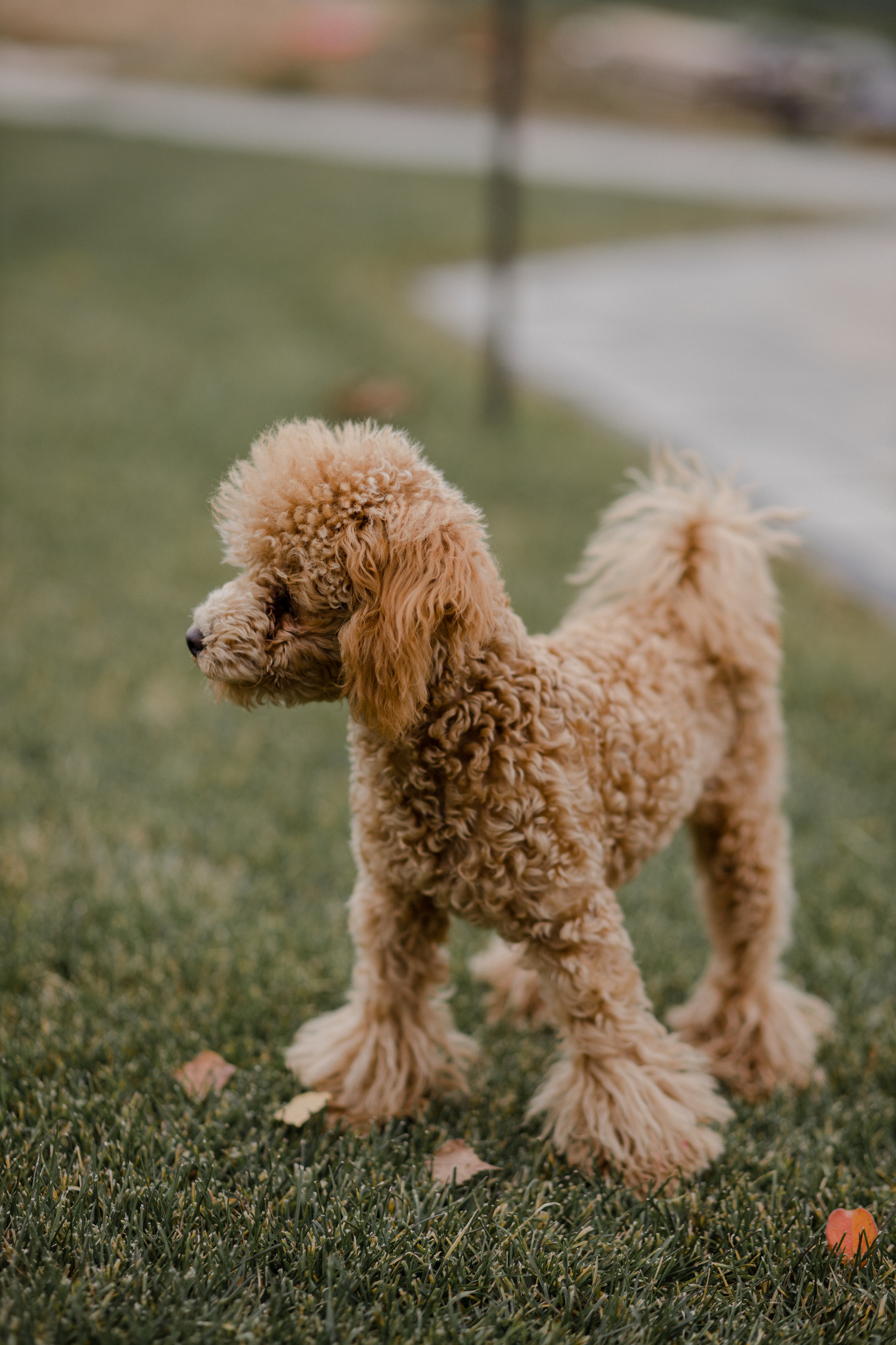 Паша Света и дети. Семейный и детский фотограф в Москве Кузьмина Мария