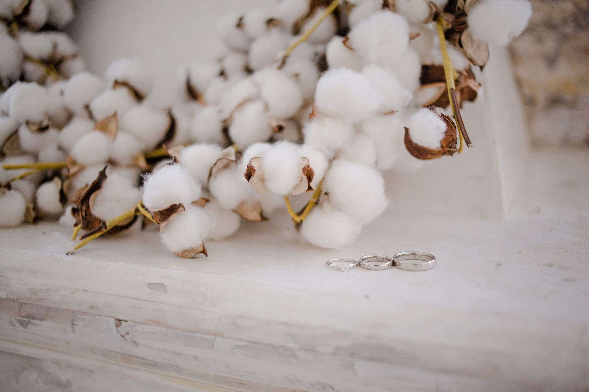 Свадьба Кати. Семейный и детский фотограф в Москве Кузьмина Мария