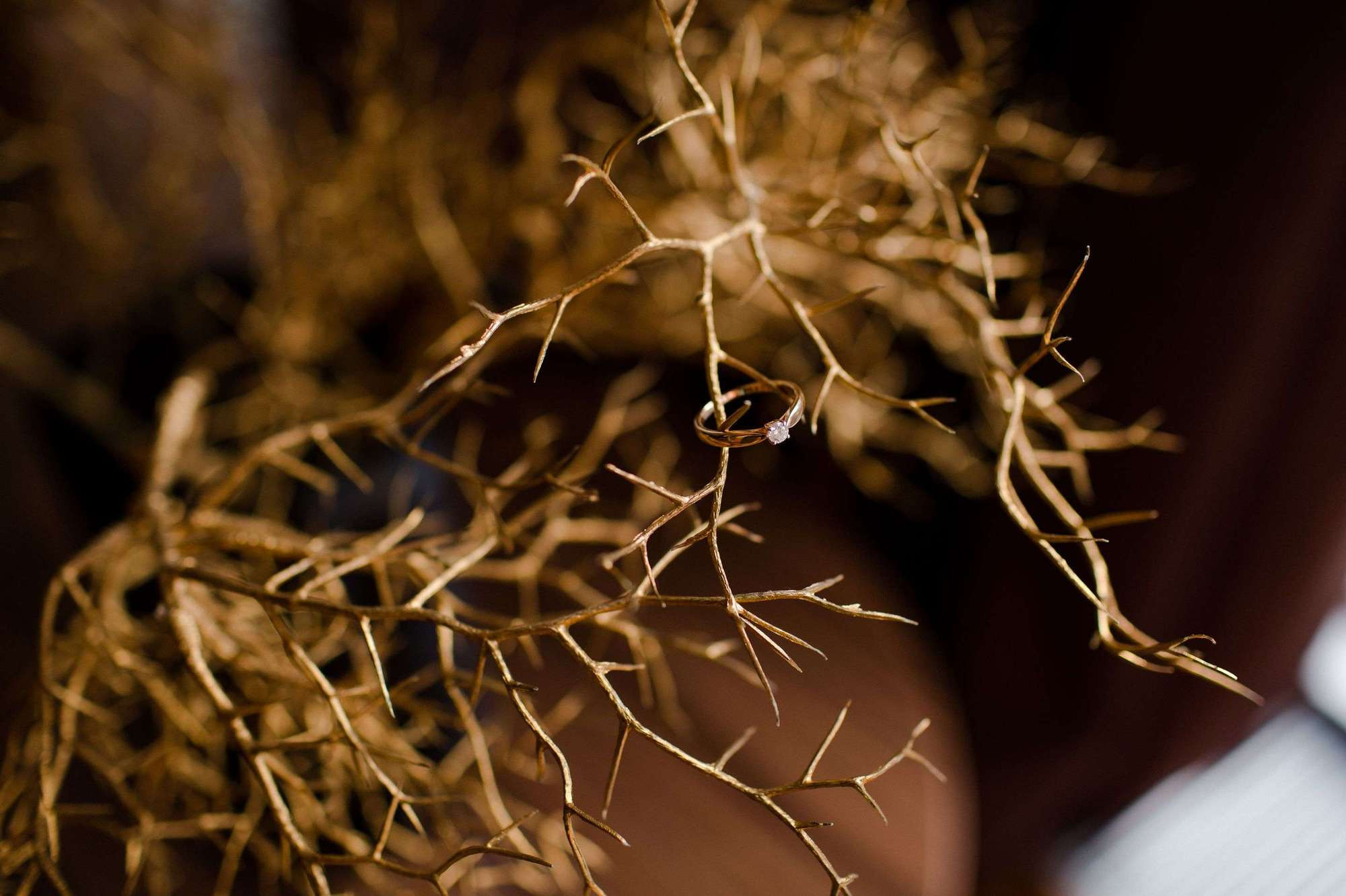 Илья и Марго. Семейный и детский фотограф в Москве Кузьмина Мария