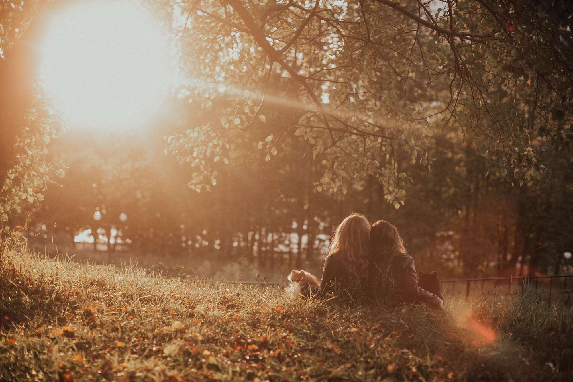Катя Аня осень. Семейный и детский фотограф в Москве Кузьмина Мария