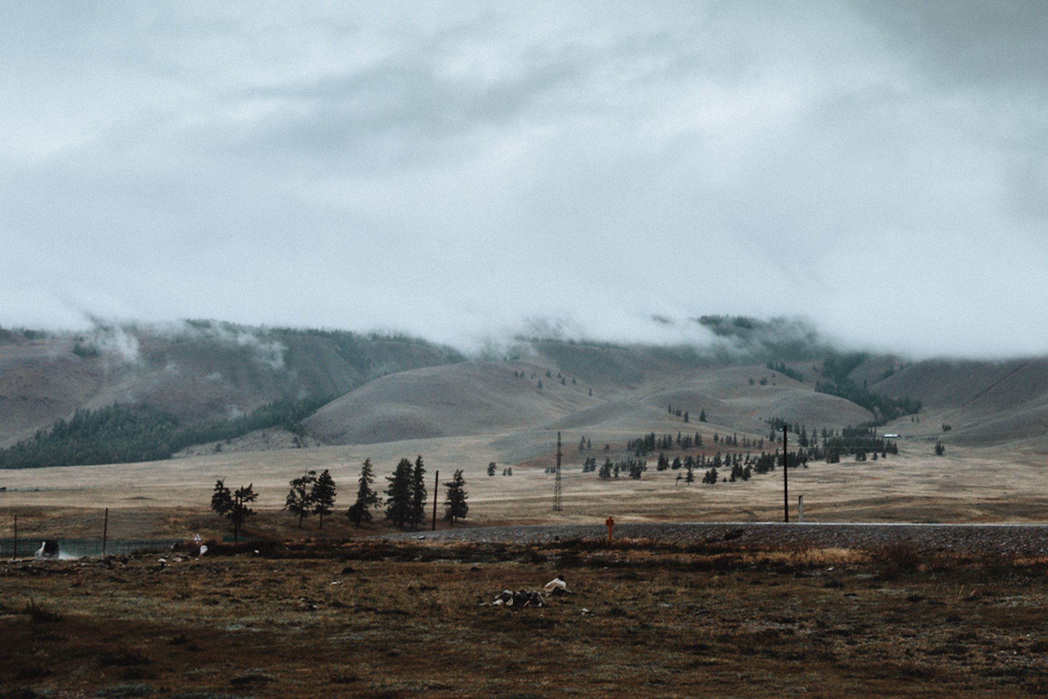 Алтай (мобилография). Фотограф в Москве, в Самаре Инна Мамонова