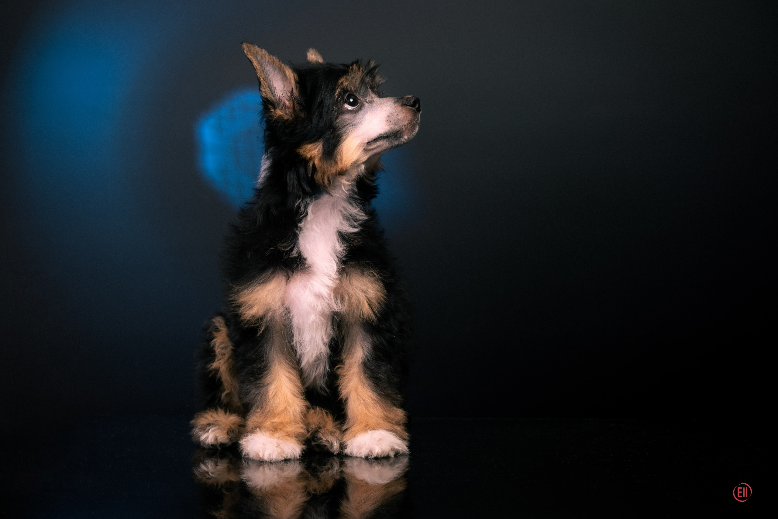 07.06.2025 Синяя фотосессия. Фотограф в Москве