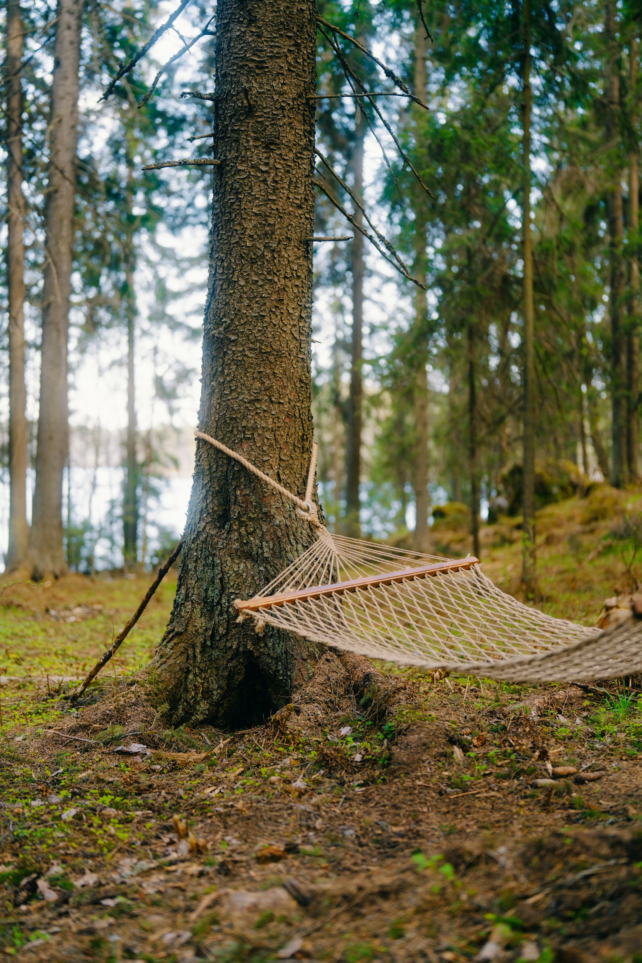 Глэмпинг в Карелии Villy Uley. Асхат Бардынов