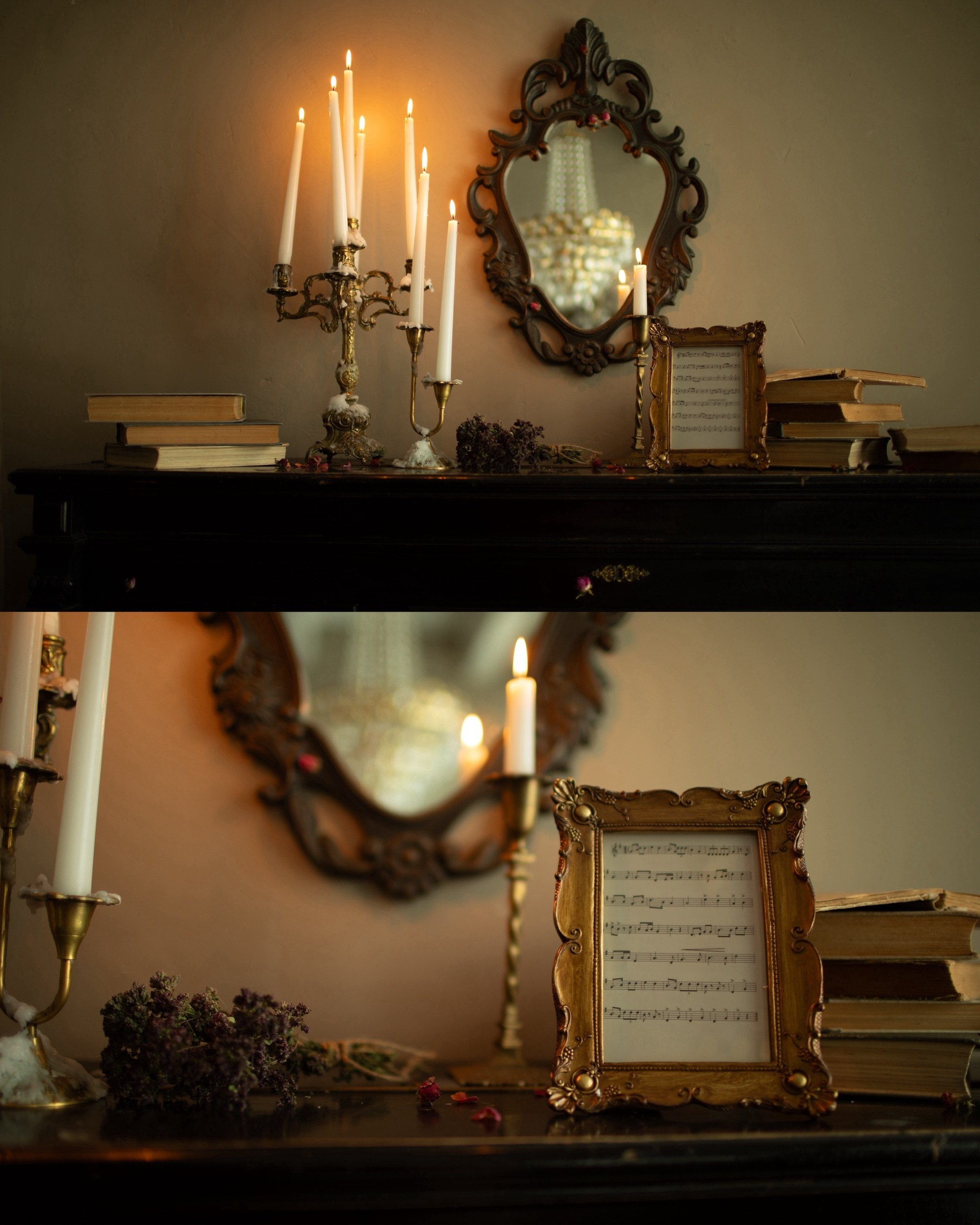 ЛЕС (скв. Карла Маркса). Семейный и детский фотограф |Брянск| Анастасия Перепелкина