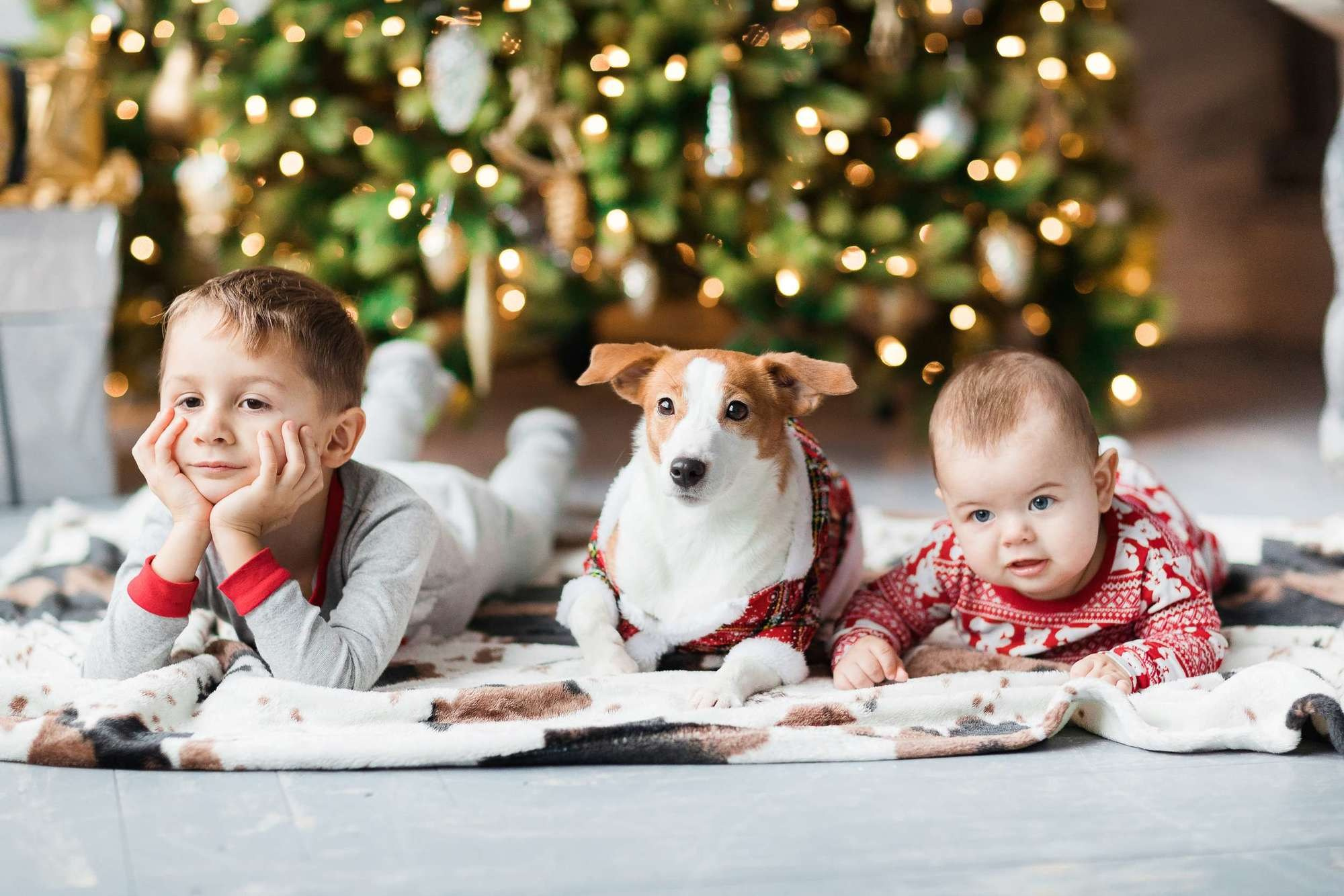 Новогодняя семейняя фотосессия семьи Юлии