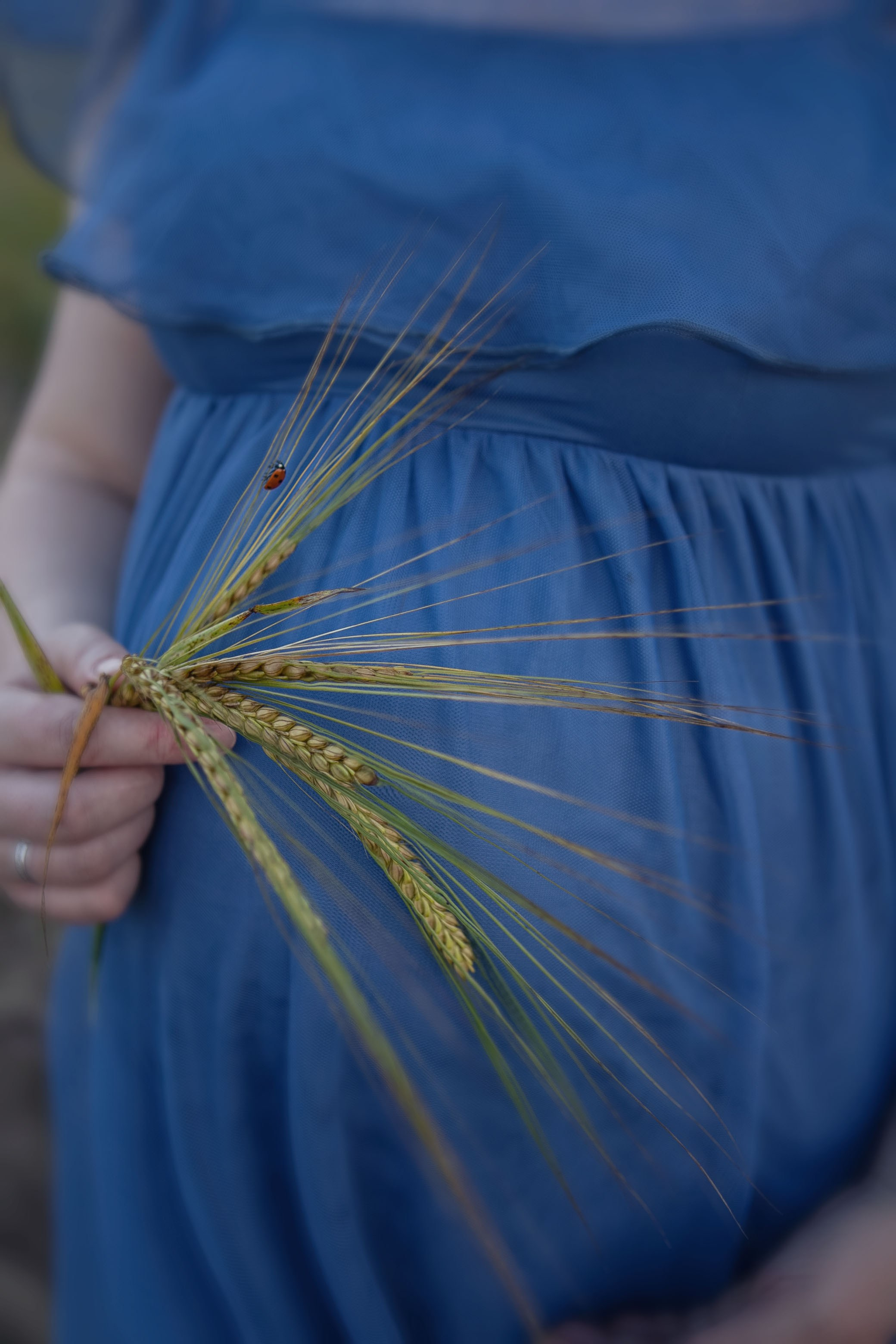 Беременность. Семейный и детский фотограф в Москве Светлана Волкова