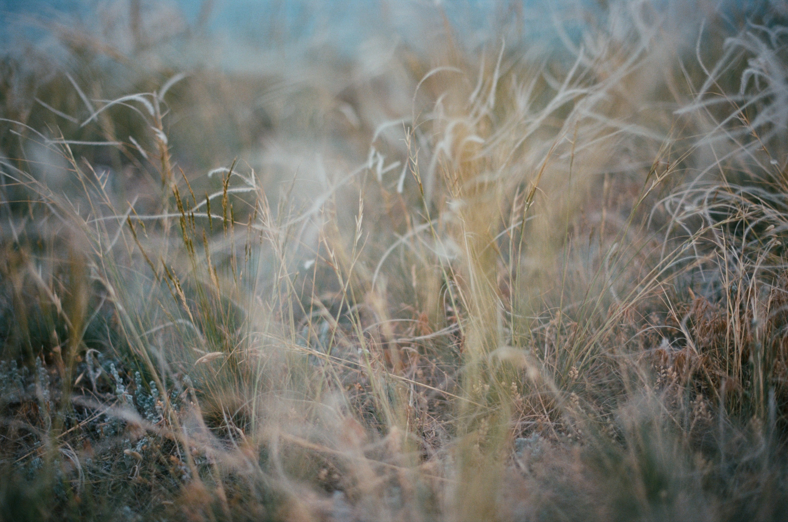 This time // ukraine, crimea IV. EVER EXPOSED