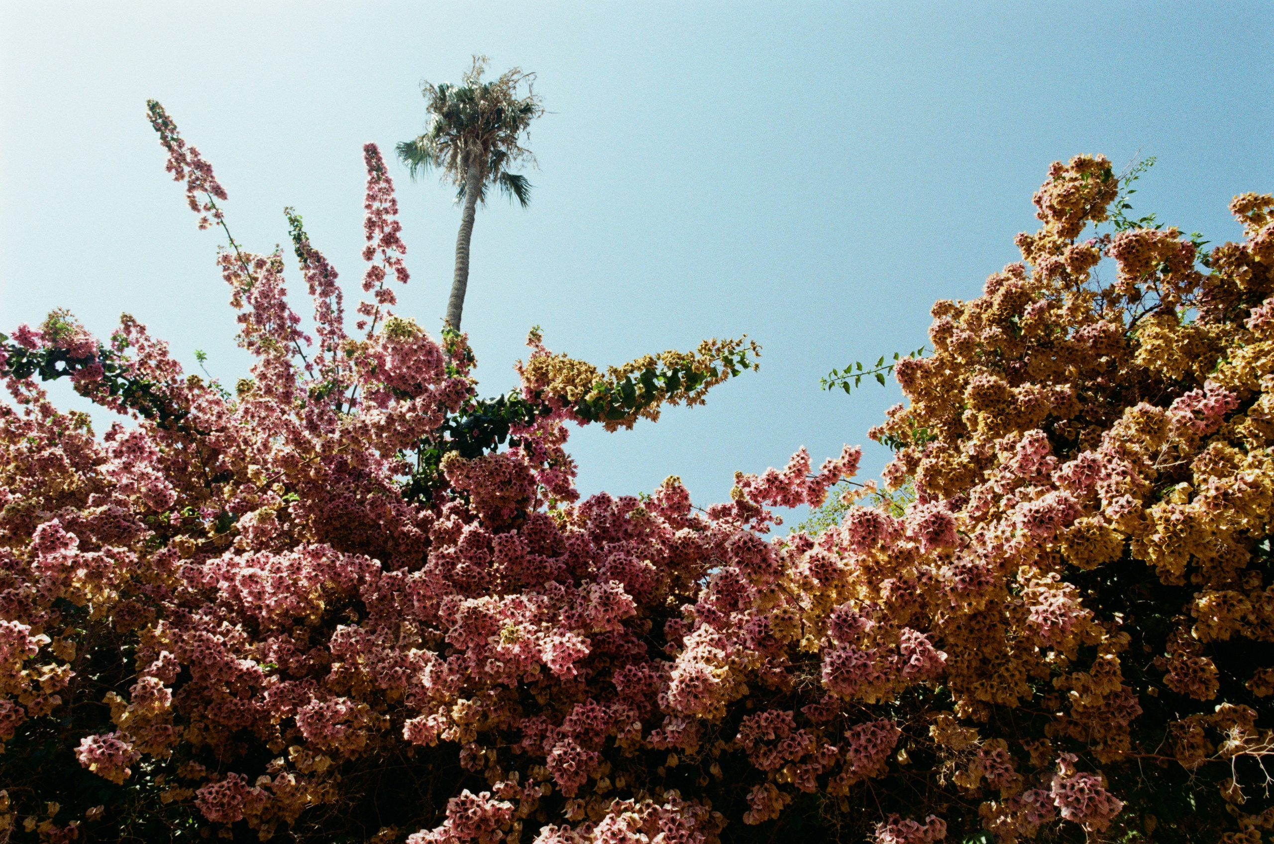 The contract // france, cote d'azur. EVER EXPOSED