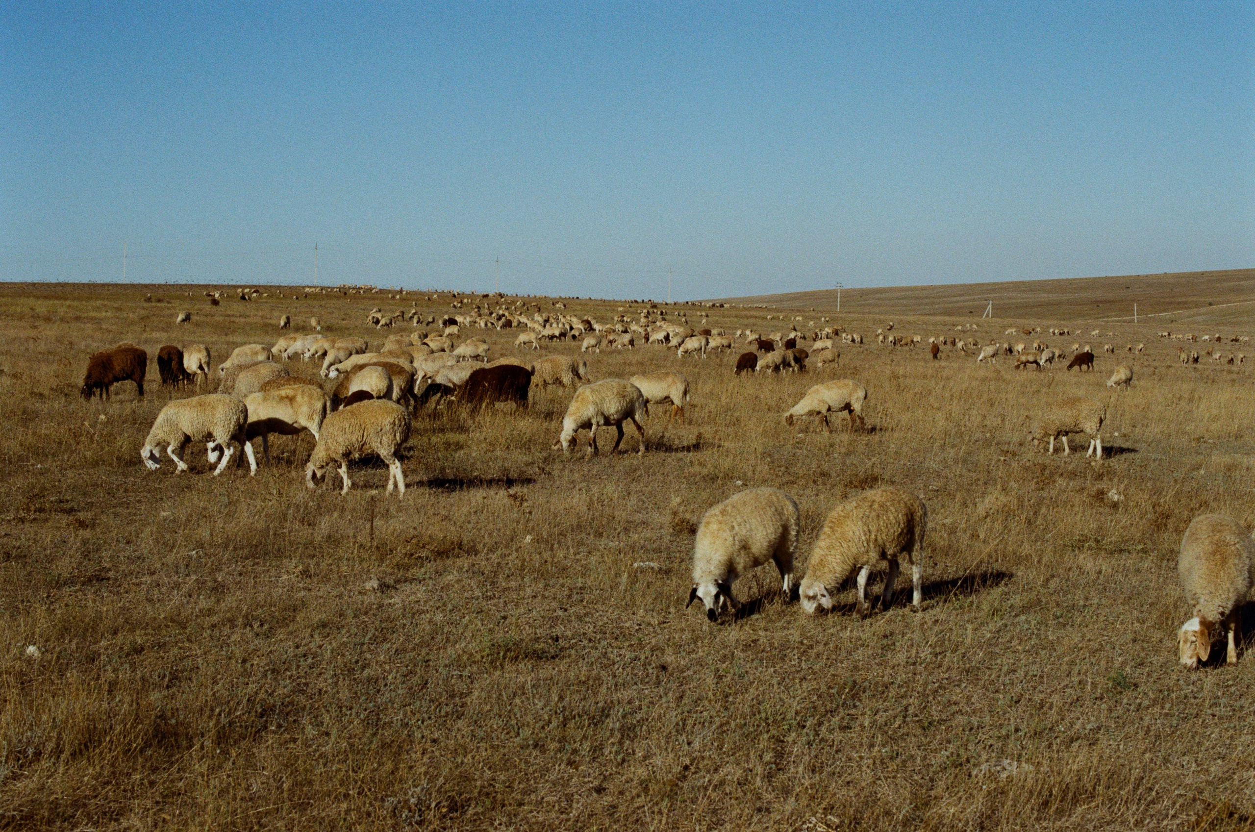 Lovesong // ukraine, crimea. EVER EXPOSED