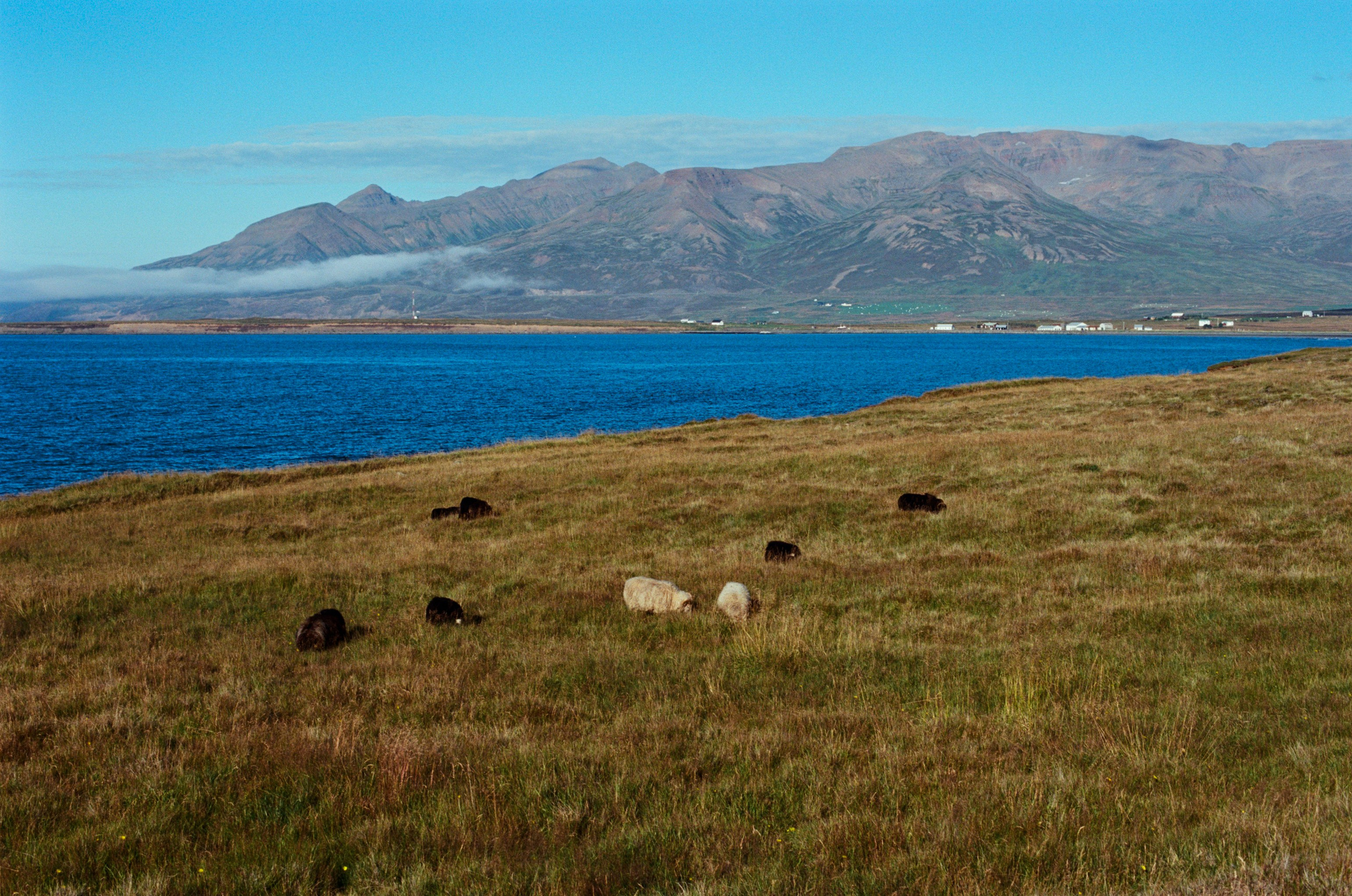 Unravelling // iceland, 76. EVER EXPOSED