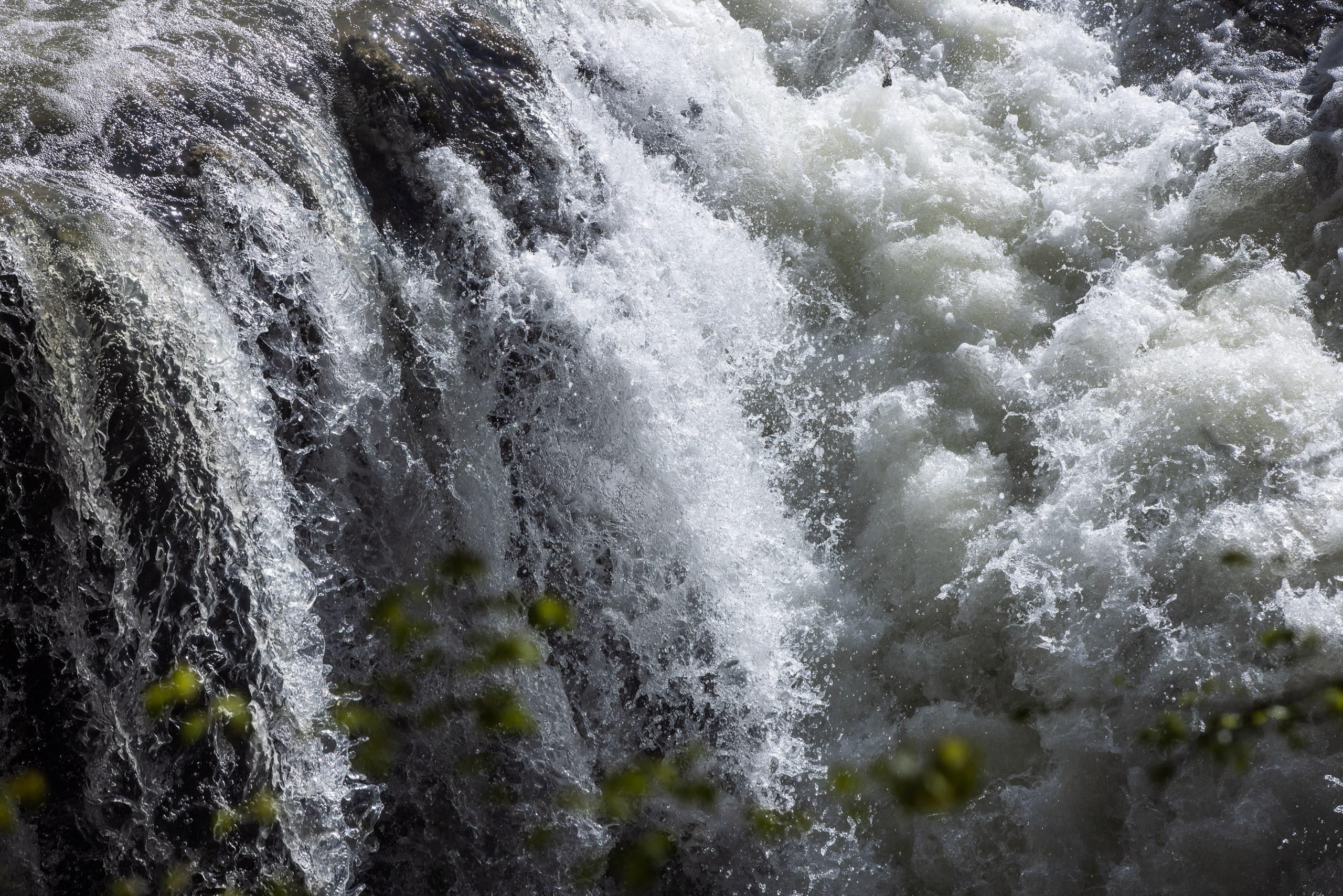 Пейзажная съемка природного заповедника. Промышленный фотограф, фоторепортаж, Россия