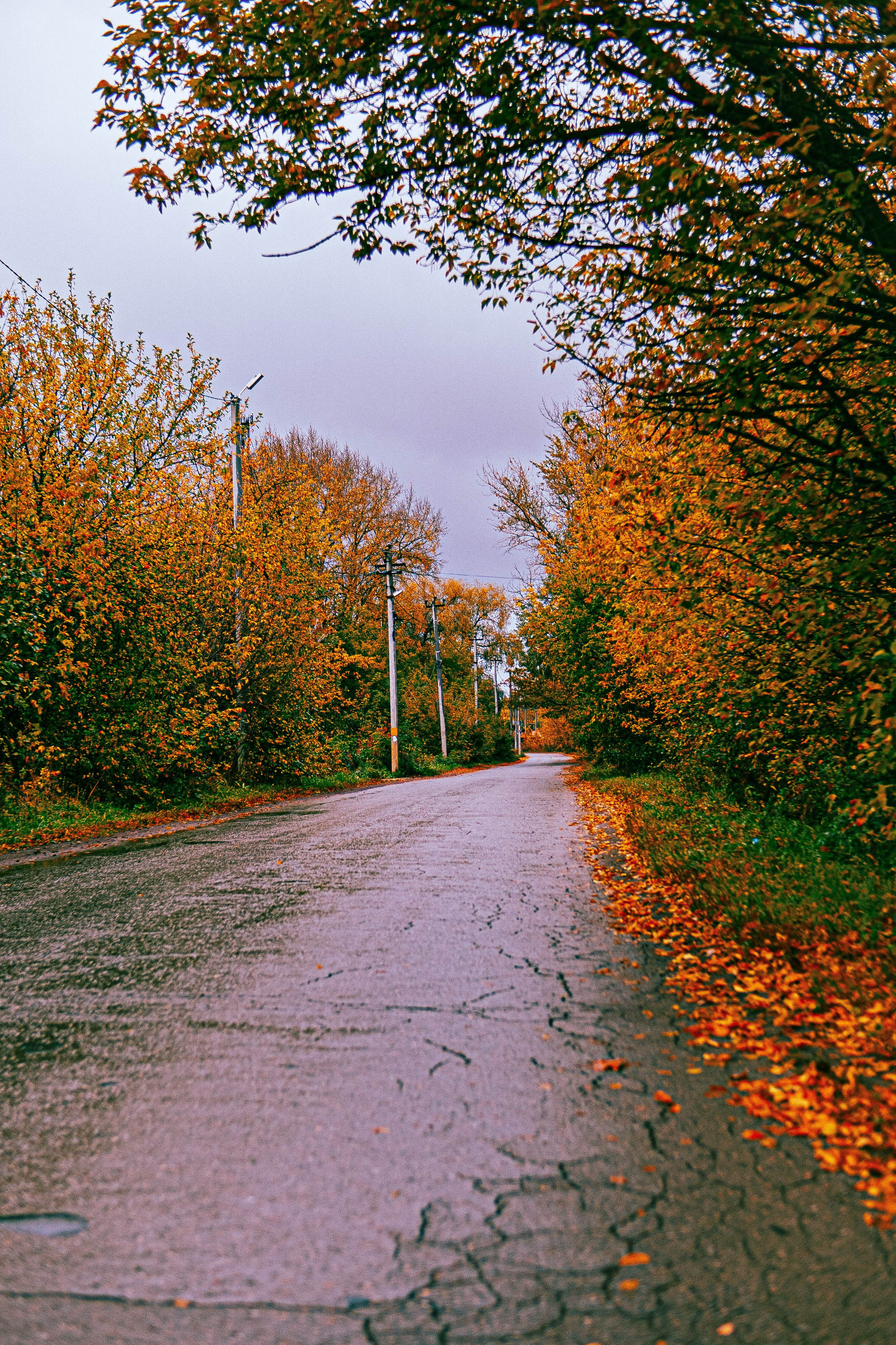 Архитектура и природа. Главная