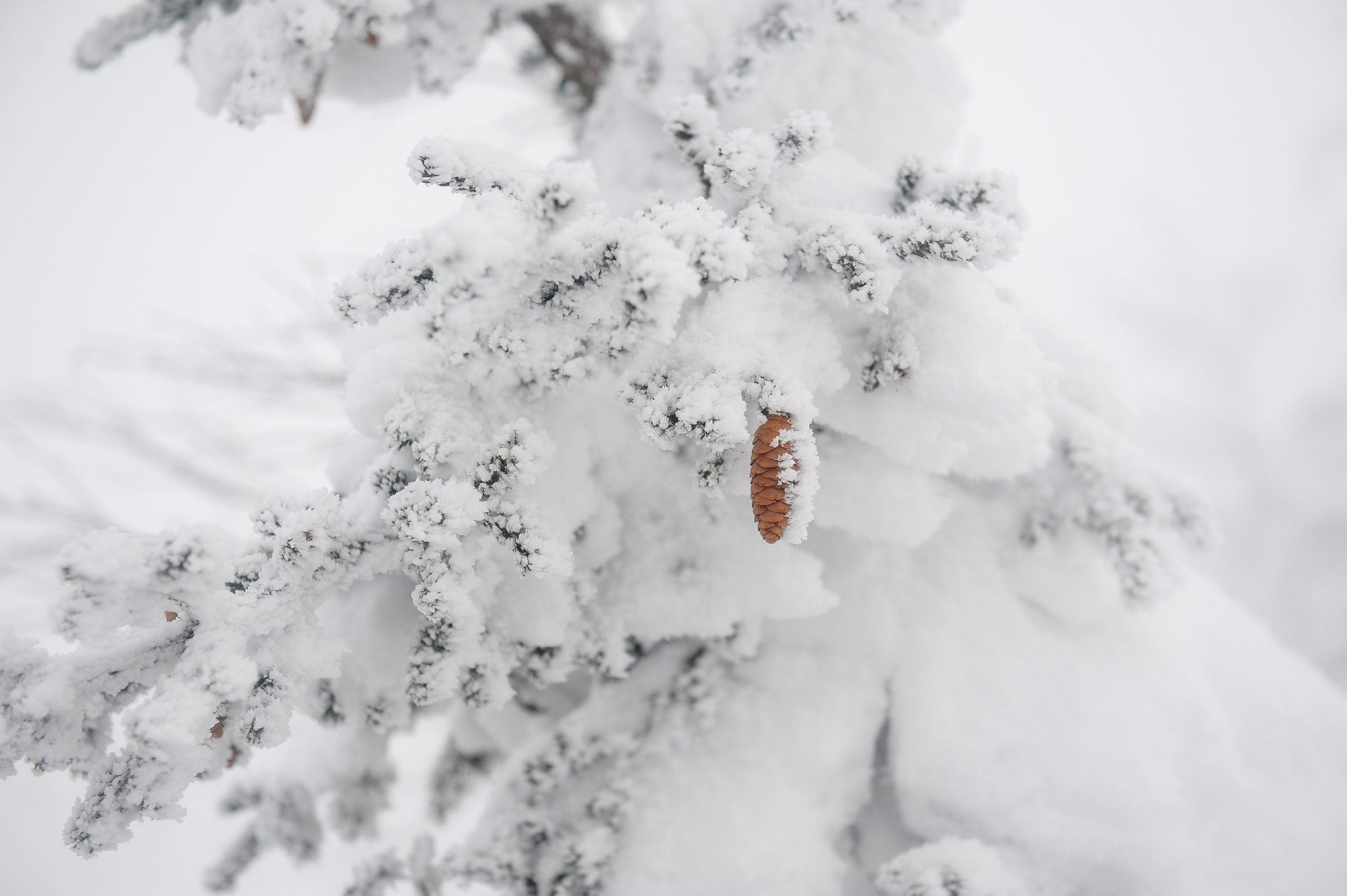 Снежный Таганай (Snowy Taganay). Главная (Home)