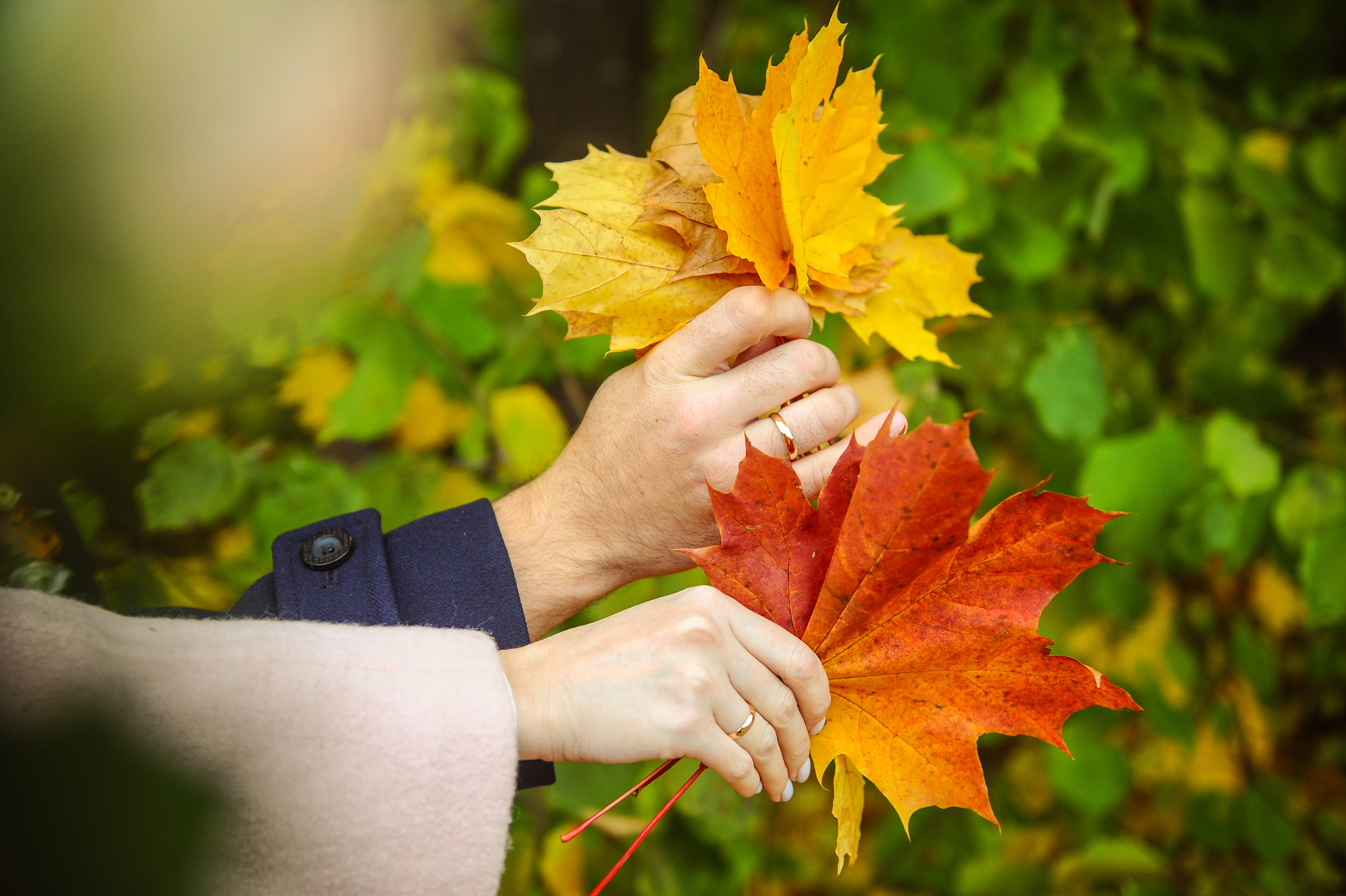 Ильшат и Айгуль (Wedding). Главная (Home)