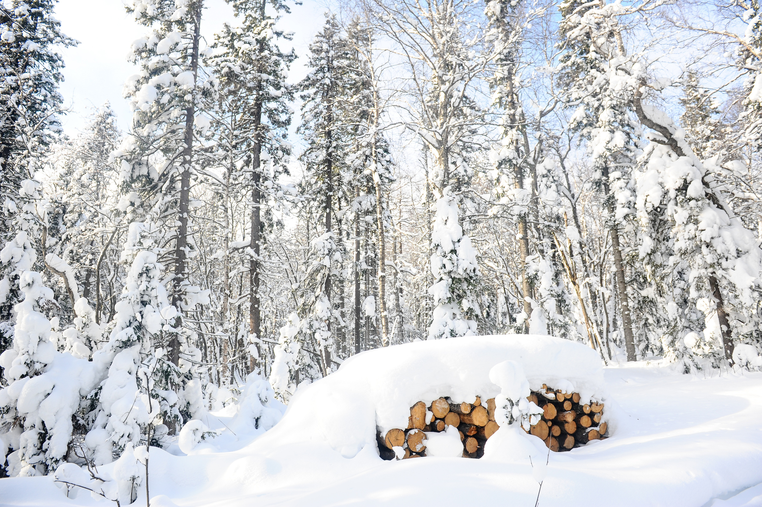 Снежный Таганай (Snowy Taganay). Главная (Home)