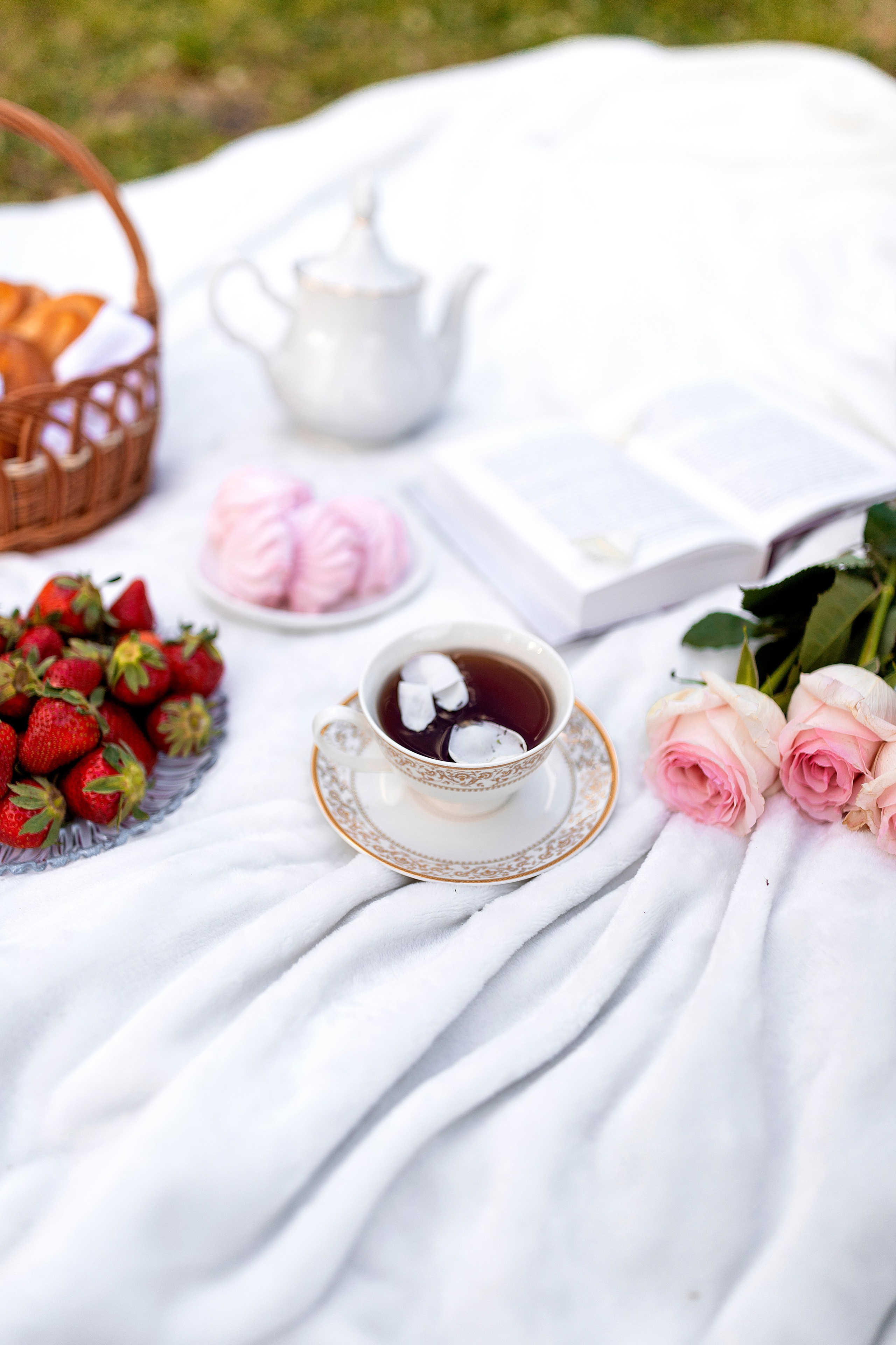 Сад роз. Настасья Перова Фотограф