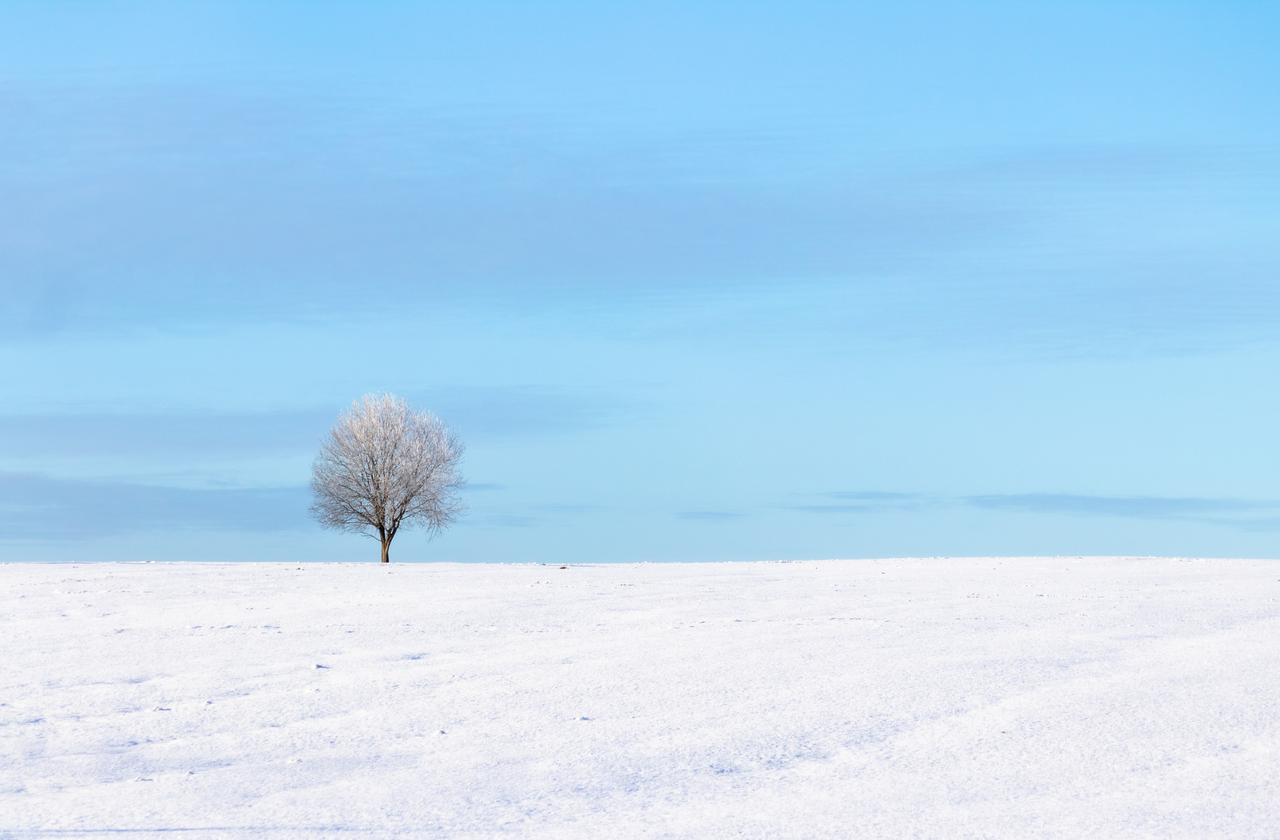 На досуге. Фотограф в Вязьме