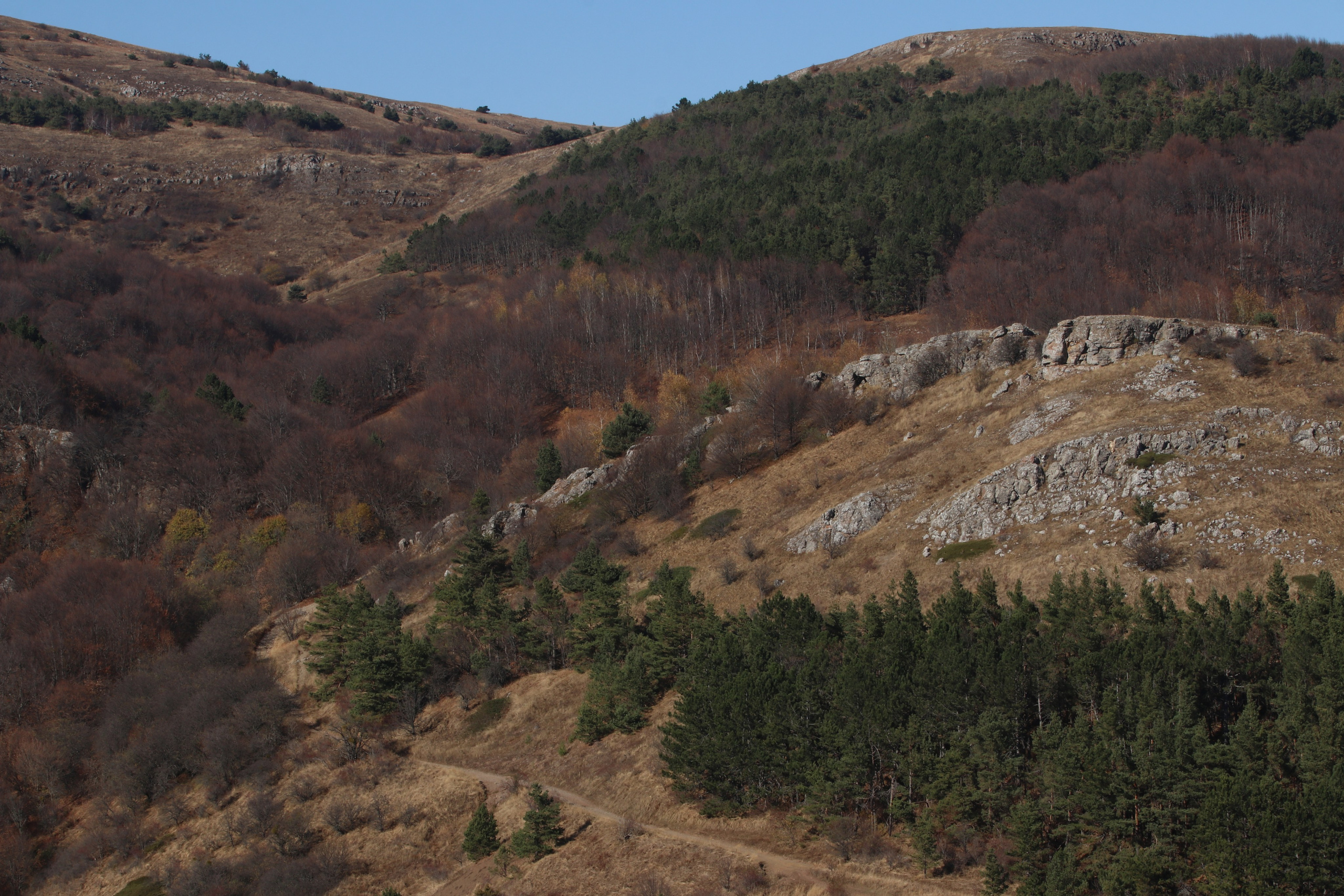 Крым. ЮБК (Гурзуф, Судак и их окрестности). Ноябрь 2023. Путешественник-фотограф из Санкт-Петербурга Татьяна Свистулина
